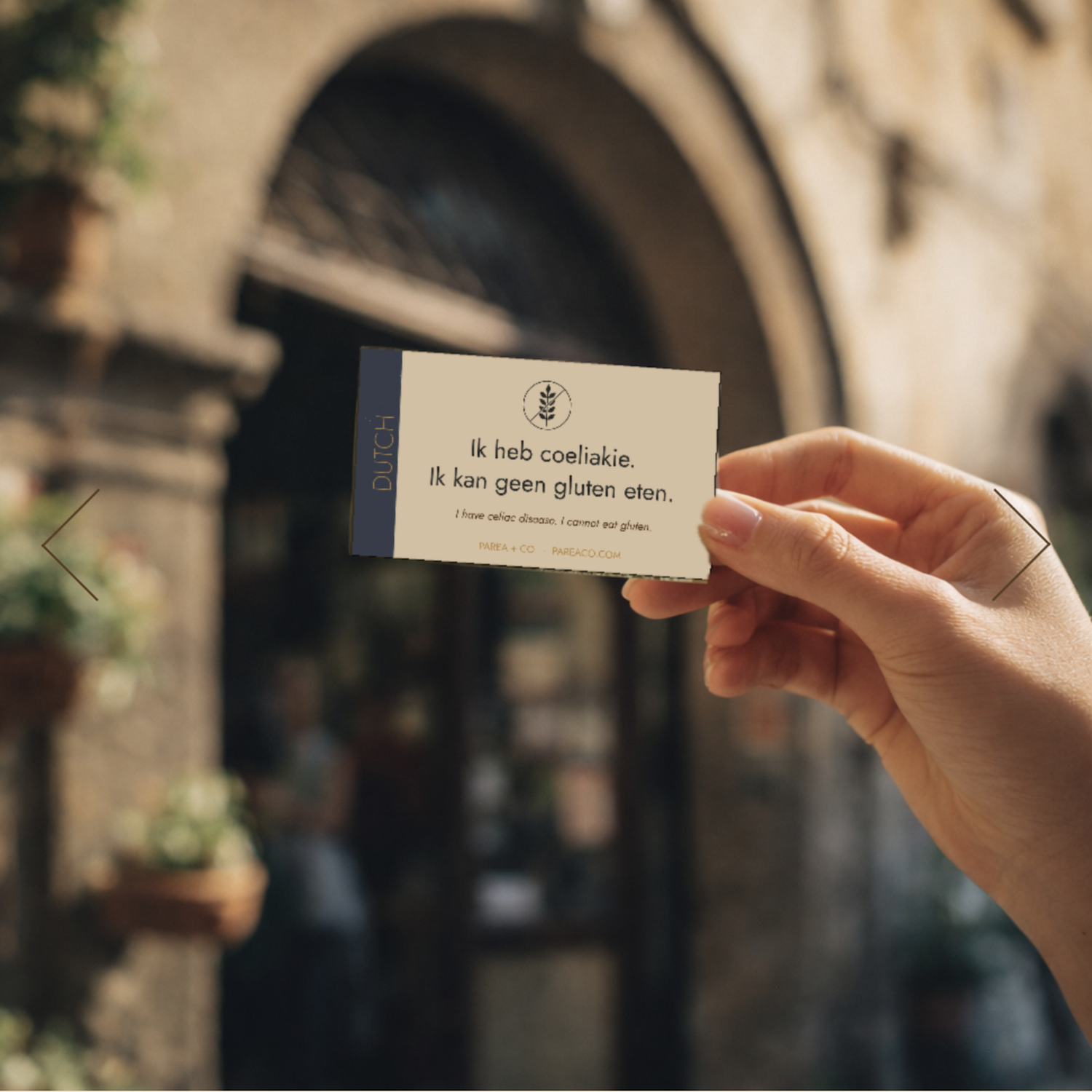 Parea_Dutch_Cafe_Card_In_Hand.png