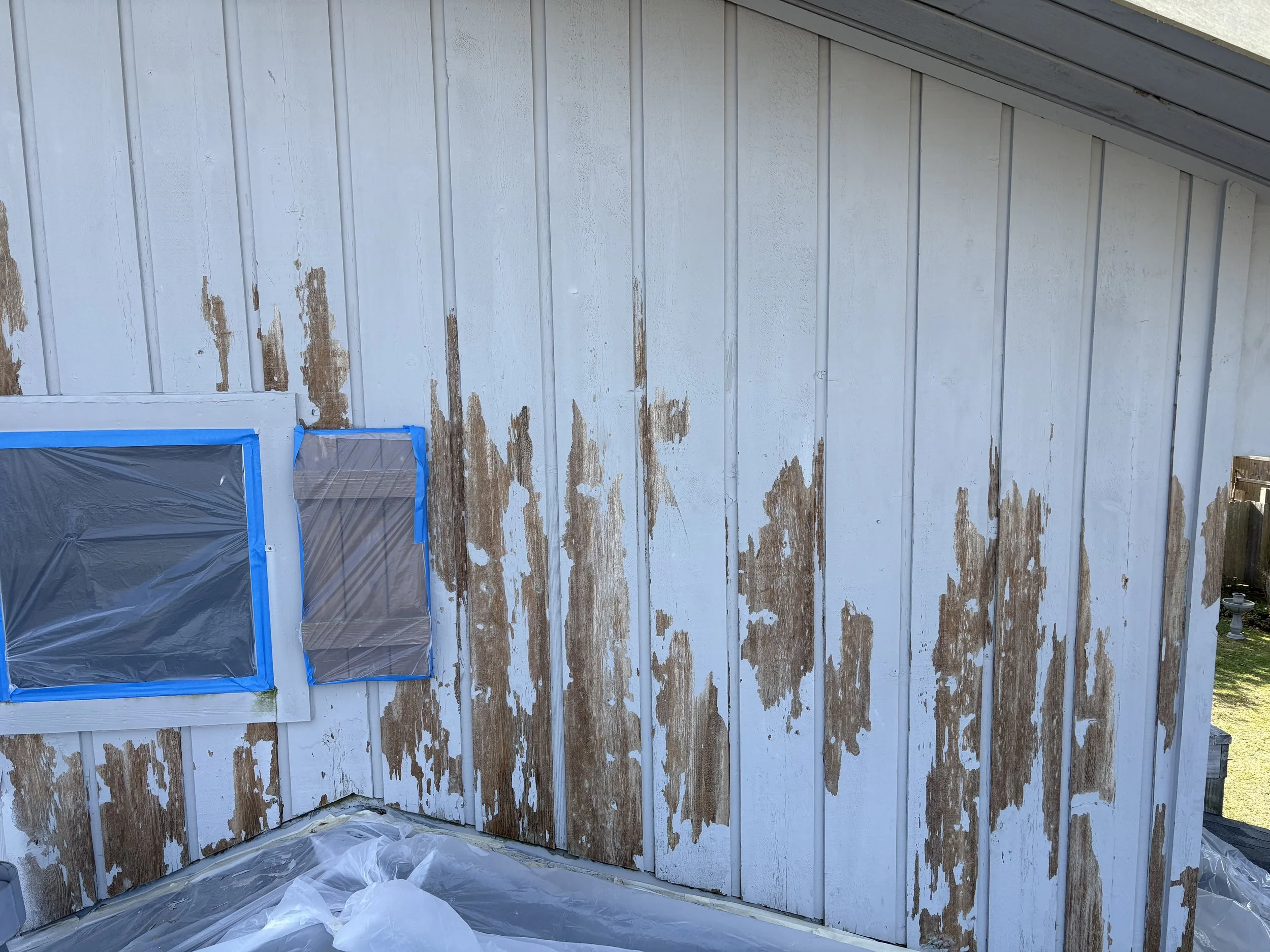 the before: remodel & paint