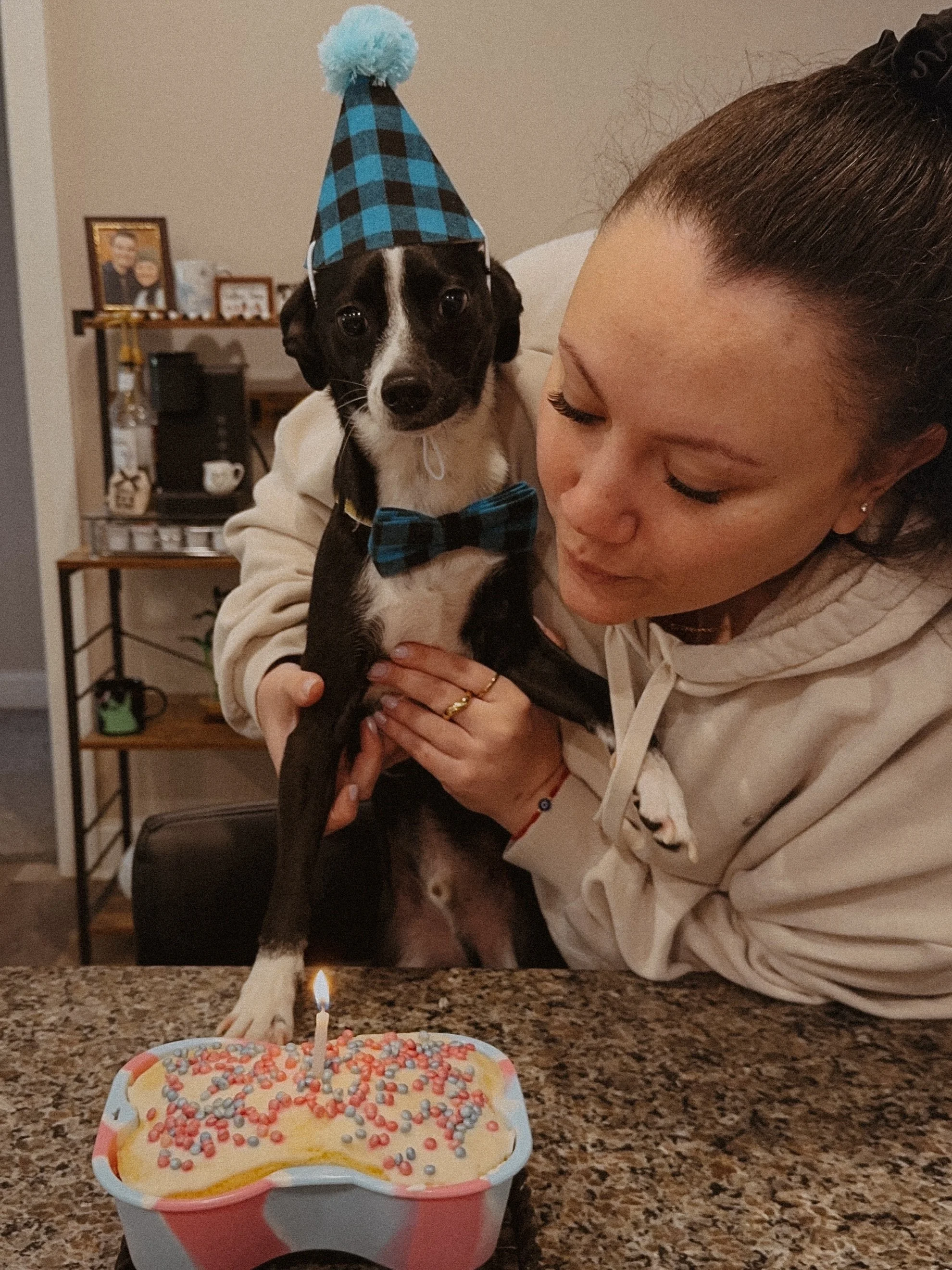 This sweet angel of a pup was born two years ago and all our lives are better because of it.

Norman is quite literally the perfect pup in every way and my heart grows three sizes (like the Grinch) whenever I think about how much I love him. He&rsquo