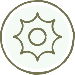 Icon of a sun with a circular center and stylized rays extending outward, enclosed in a black circular border.
