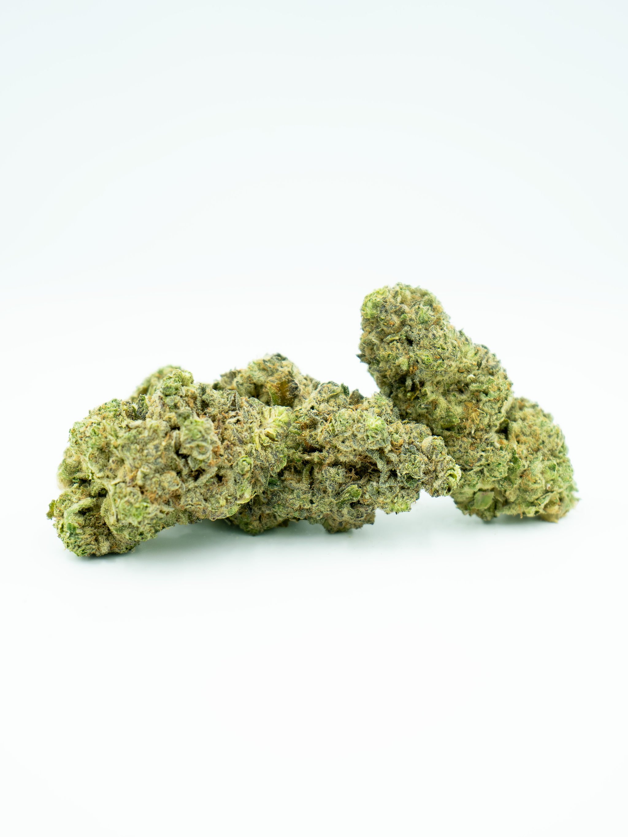 Close-up of cannabis buds on a white background.