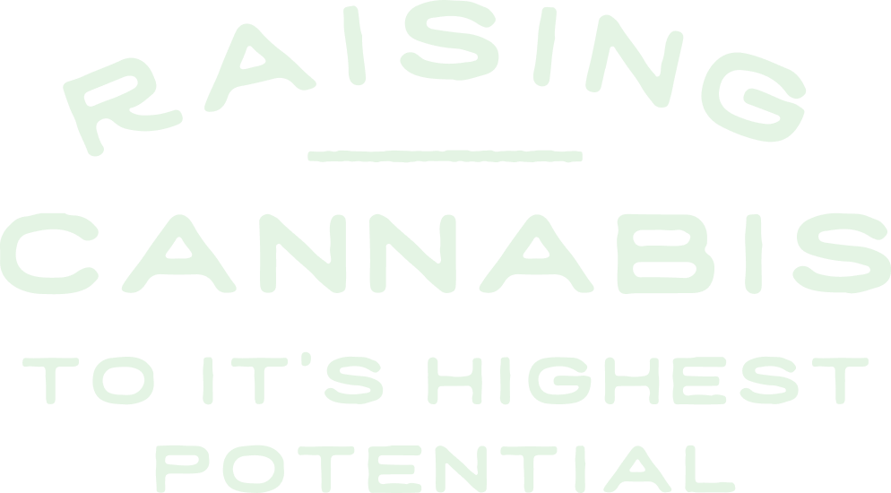 Text reading "Raising Cannabis to Its Highest Potential" with a stylized design.