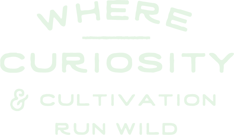 Text stating 'Where curiosity & cultivation run wild' on a black background.