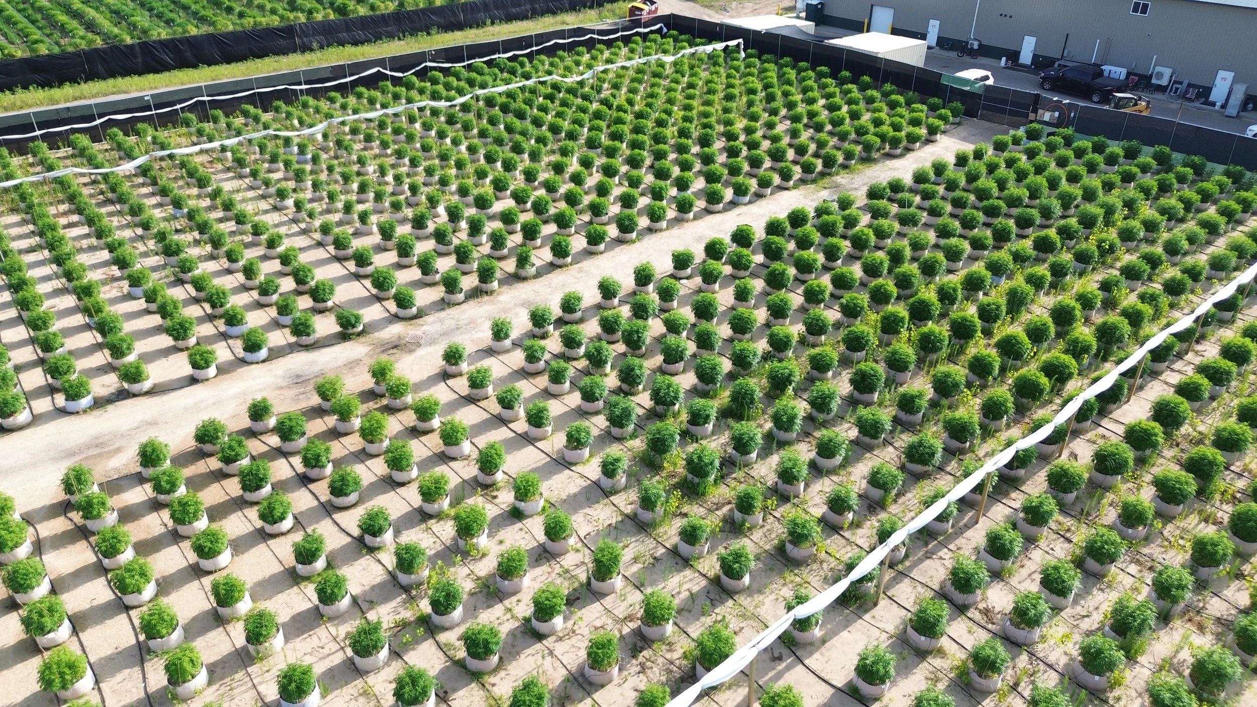 Aerial view of a plant nursery with many green potted plants arranged in rows, surrounded by a black fence and adjacent to a building with parked vehicles.