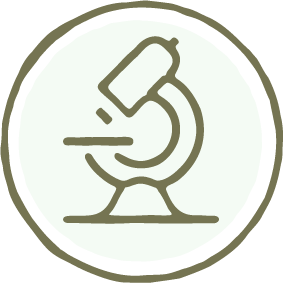 An illustration of a microscope.