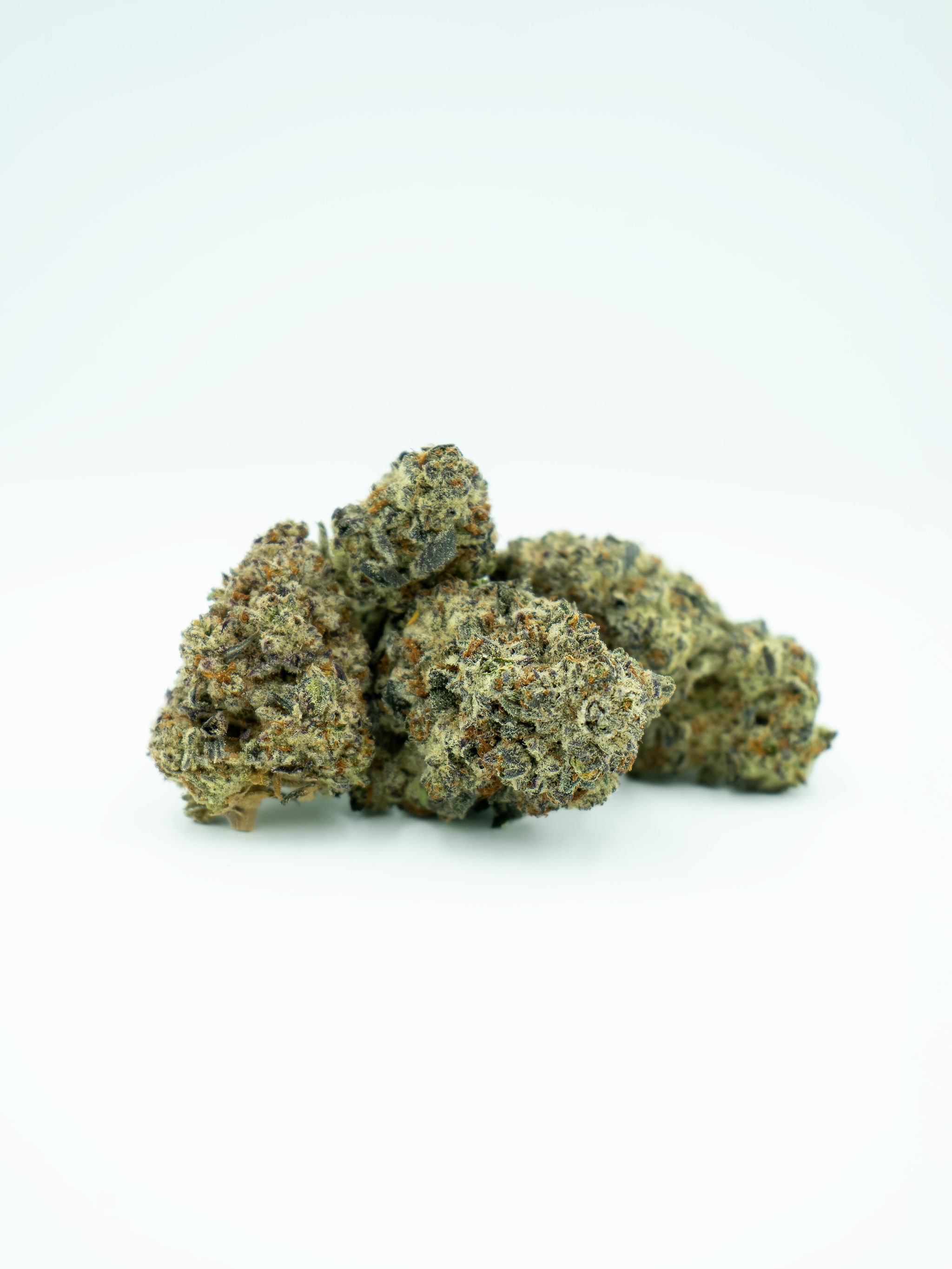 Several cannabis buds on a white background.