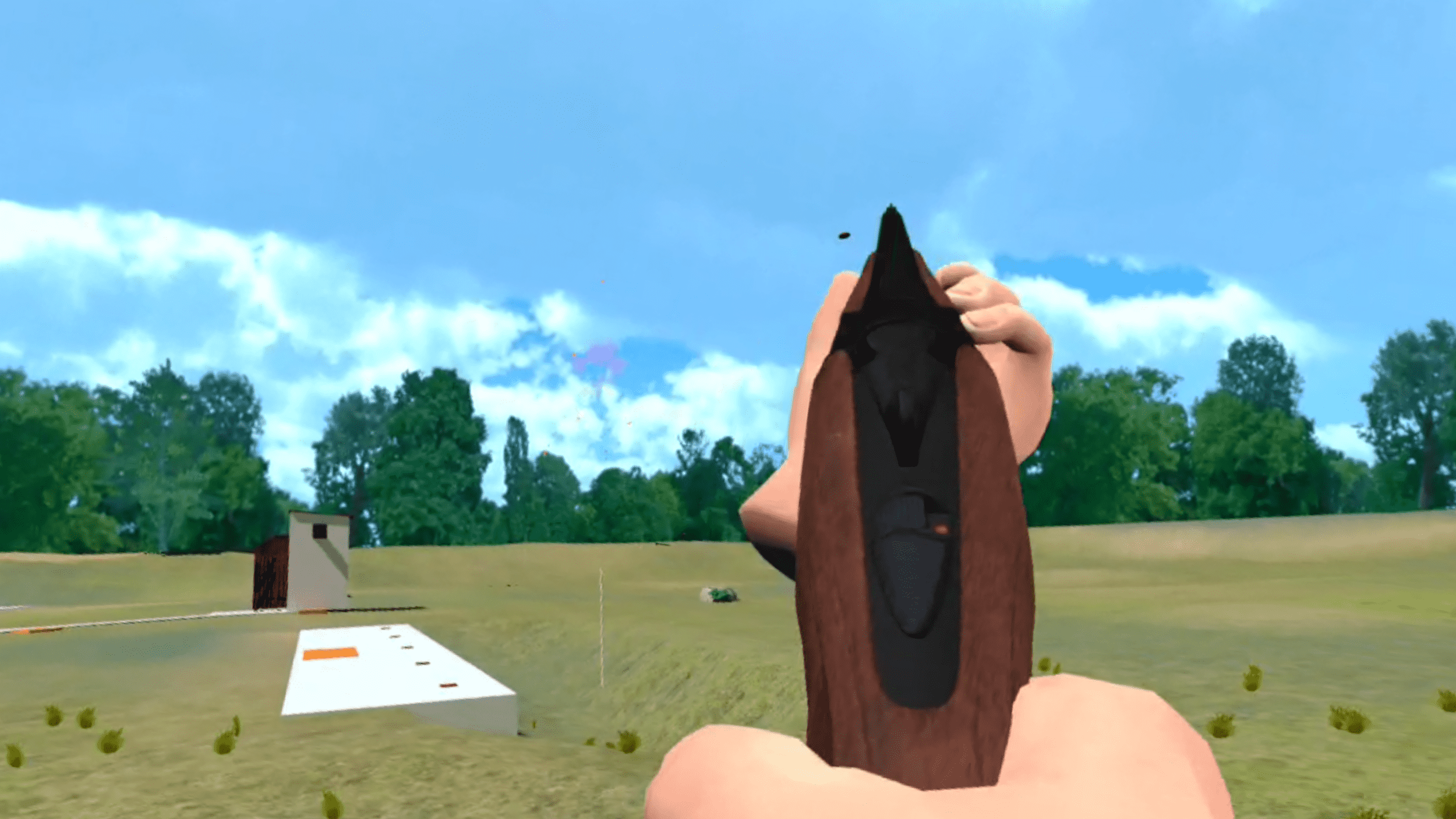VR Clay Pigeon Shooting
