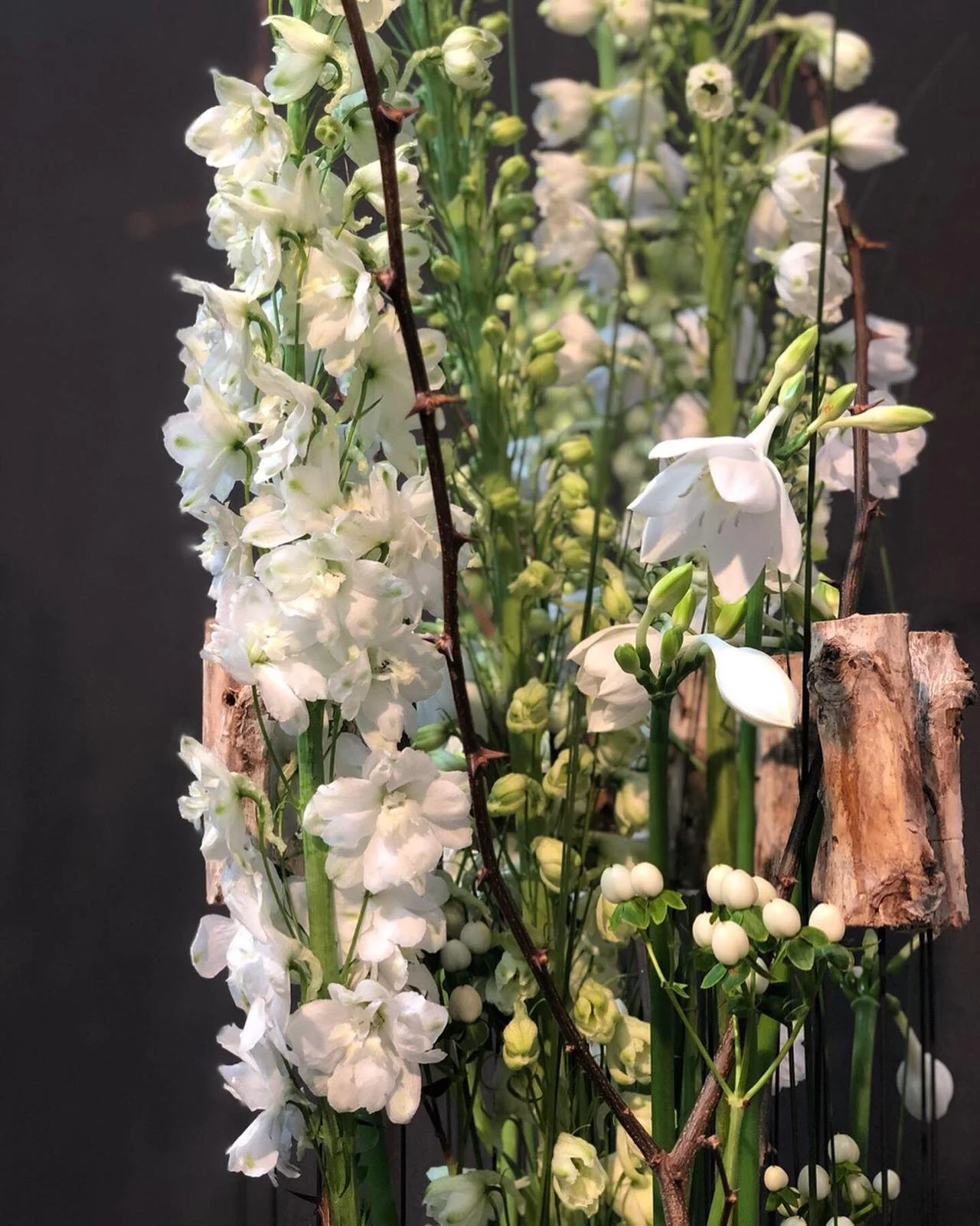 PHOTO-2025-11-30-09-52-30 2.jpg