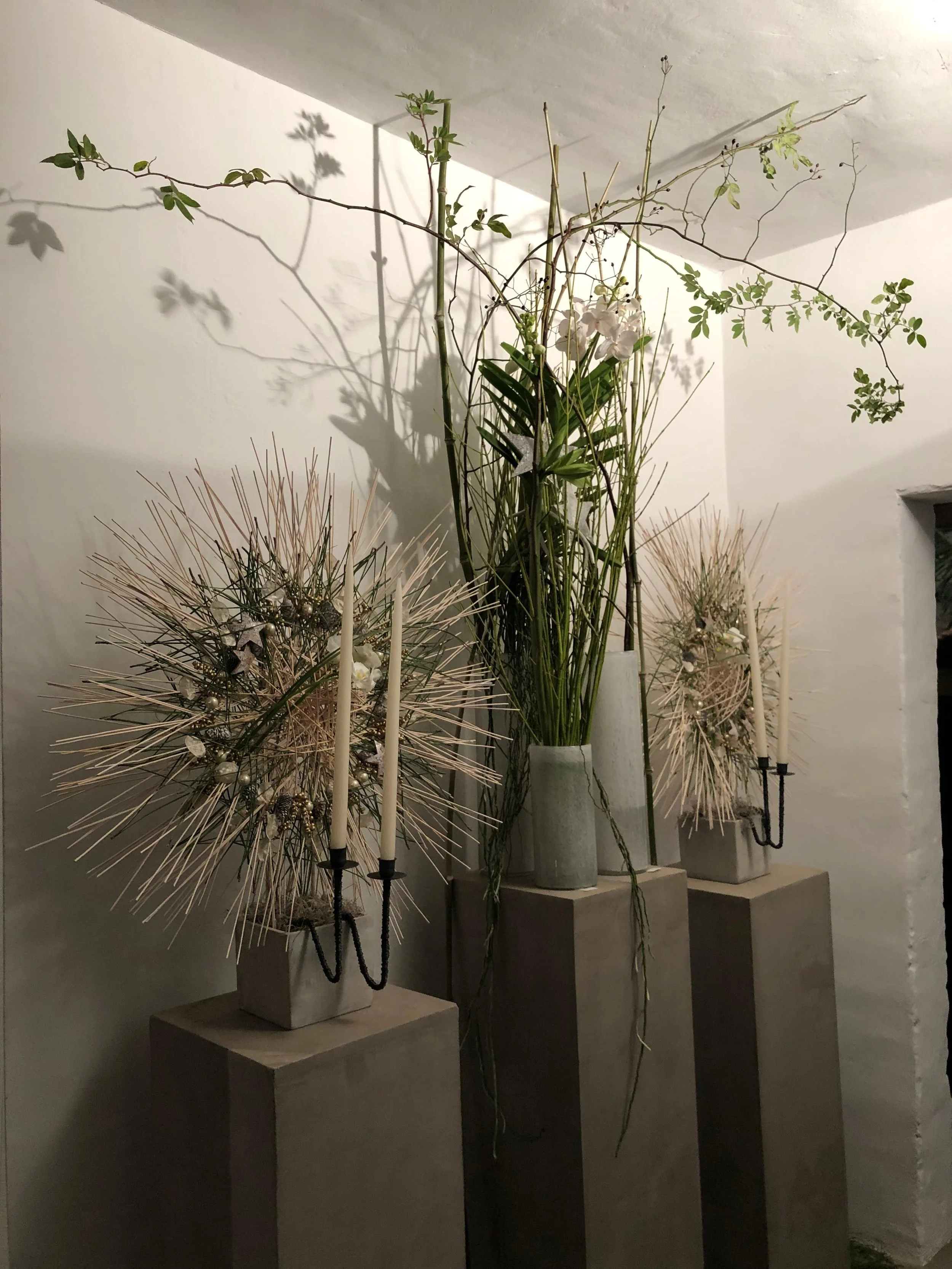 WhatsApp Image 2025-11-29 at 20.59.03.jpeg