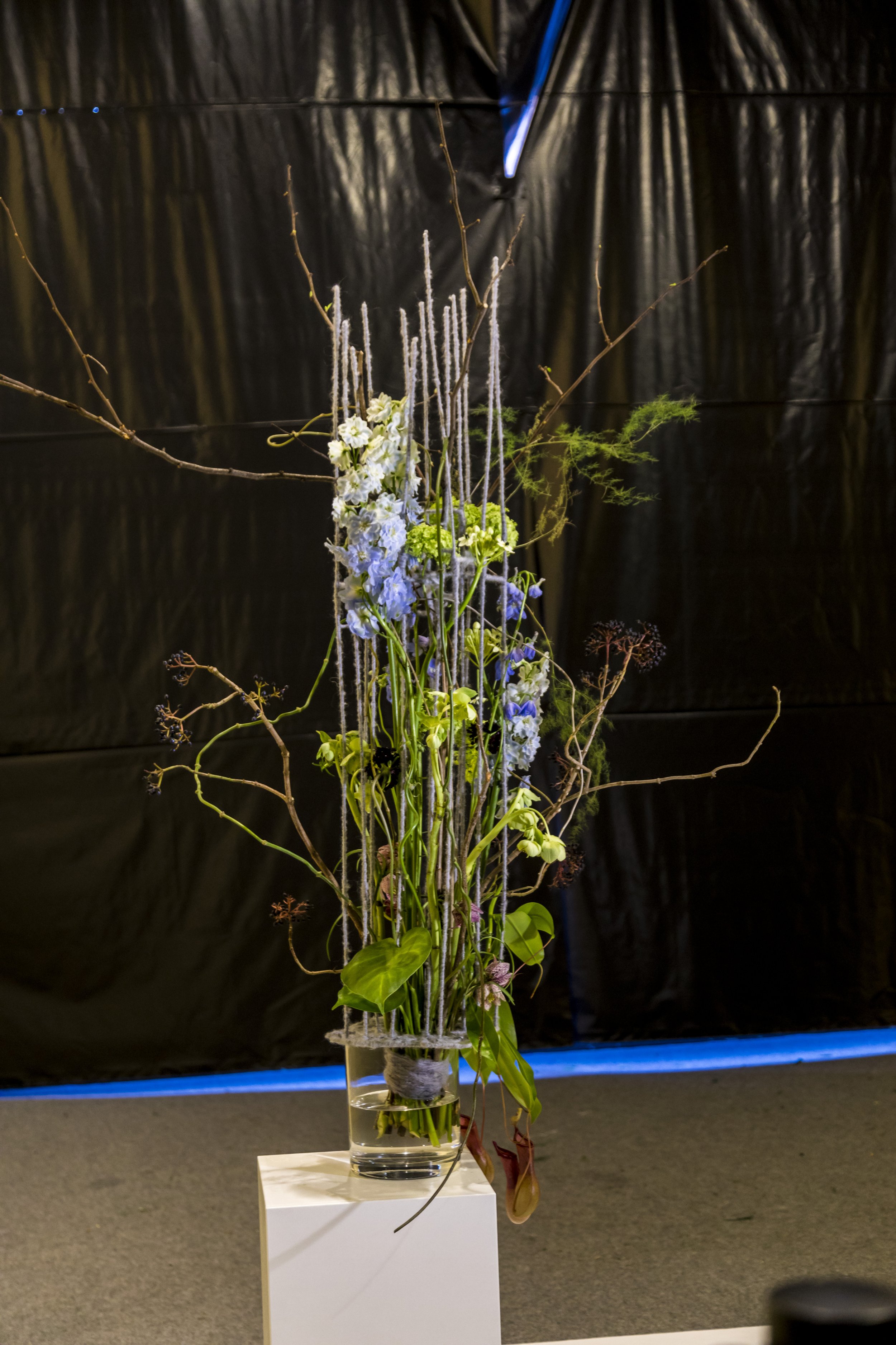 Copa España 2018-8570.jpg