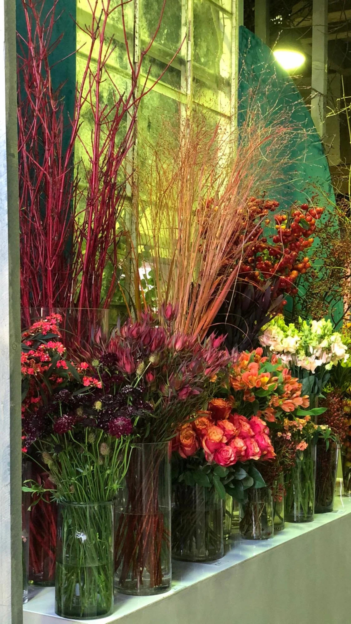 WhatsApp Image 2025-11-29 at 20.59.11.jpeg