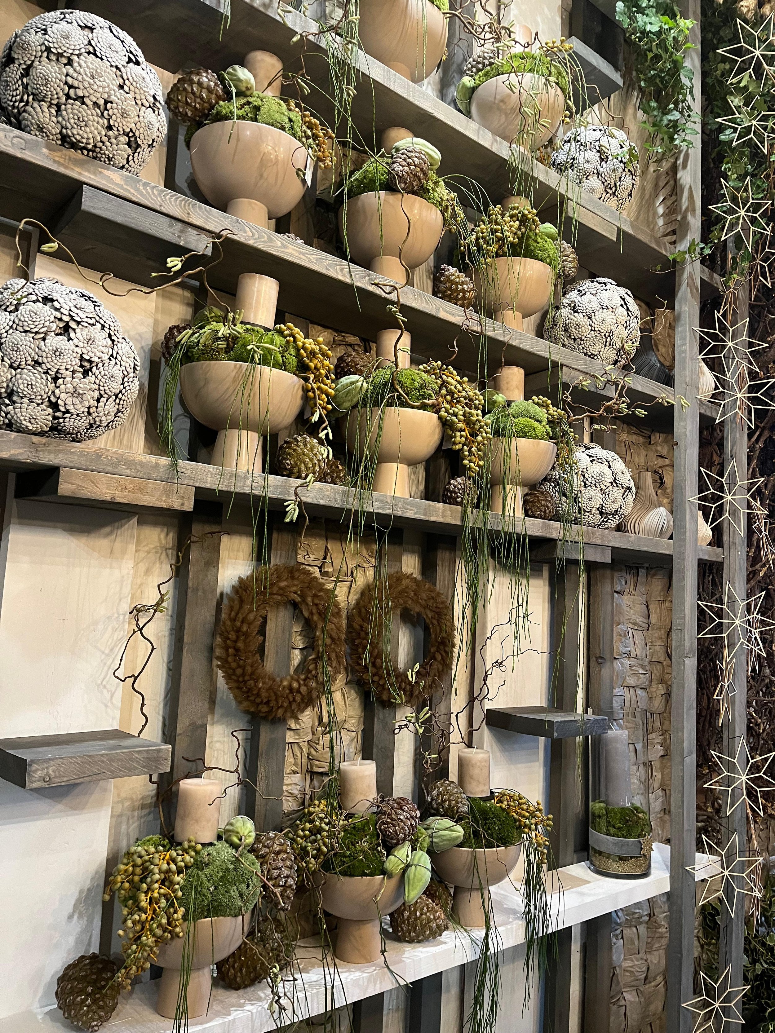 WhatsApp Image 2025-11-29 at 21.06.57pp.jpeg