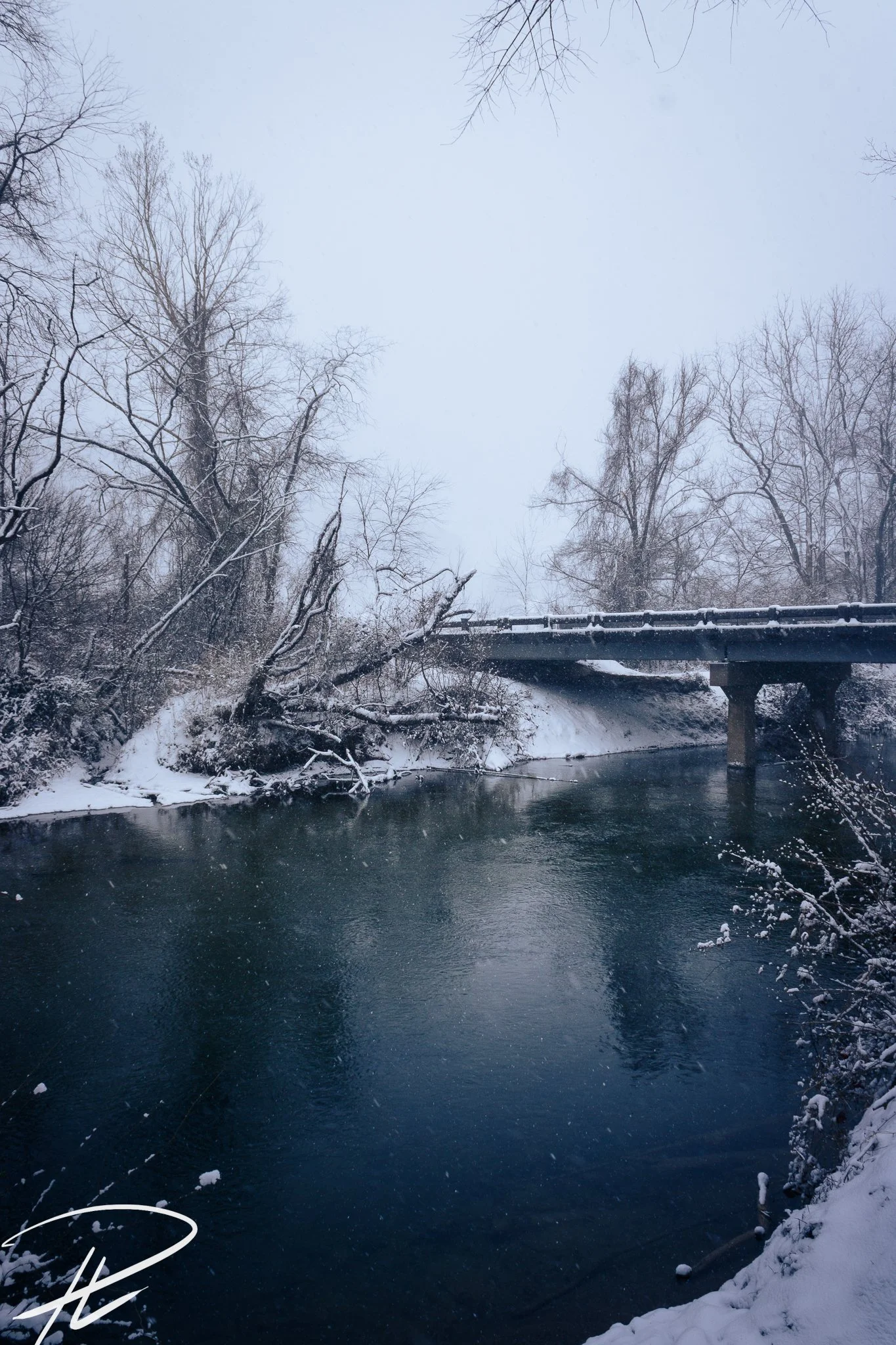 Snow-covered trees and a river with a bridge overhead in winter.