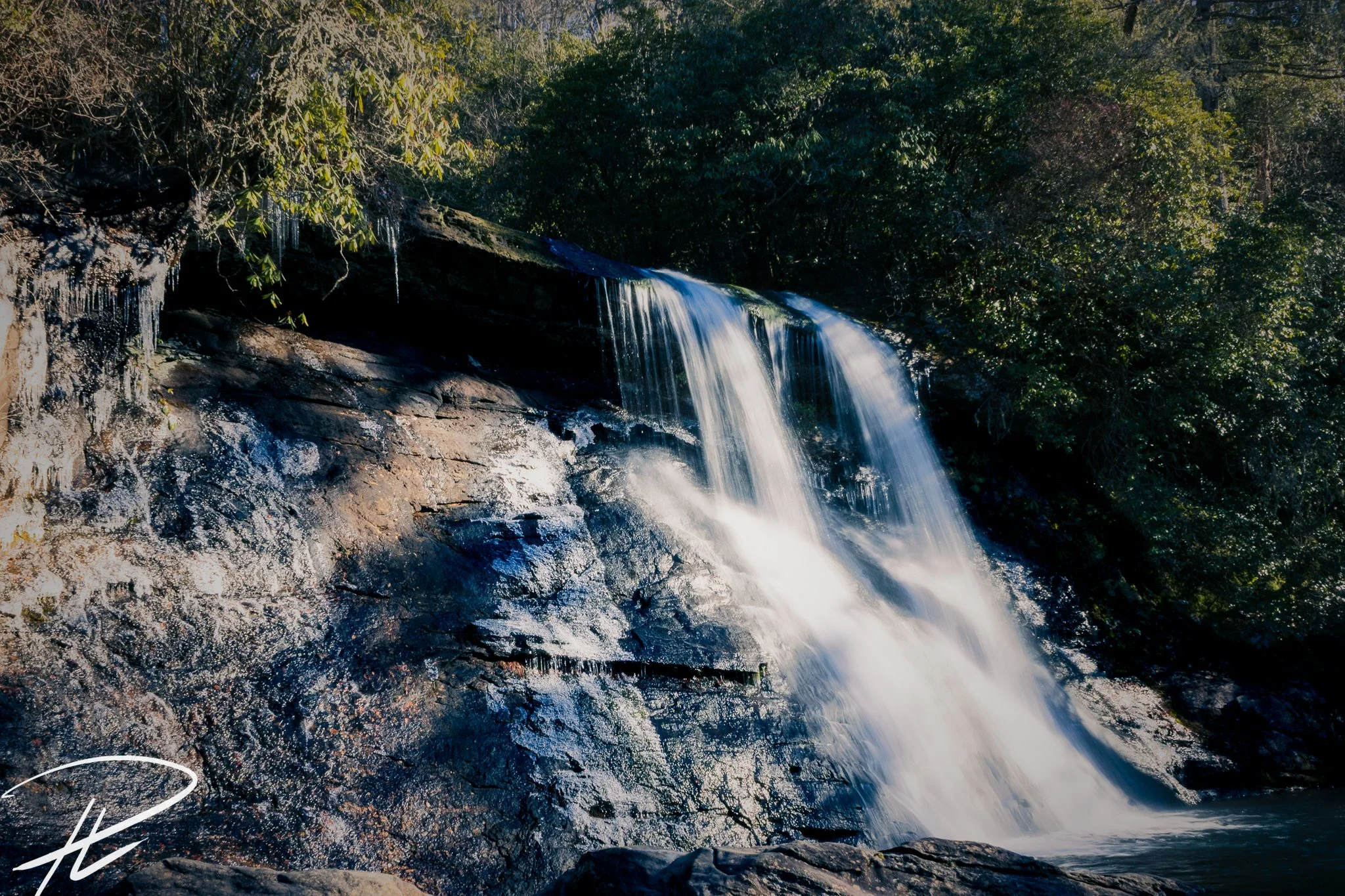 Stream flowing over rocks in a forest with dense green foliage on both sides, sunlight filtering through trees.