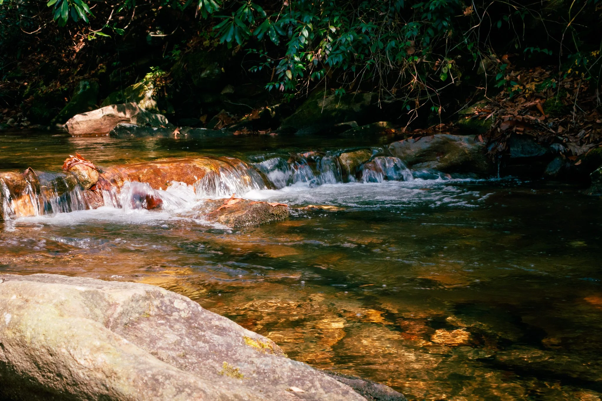 A small rocky stream flowing over rocks in a forested area with green foliage in the background.