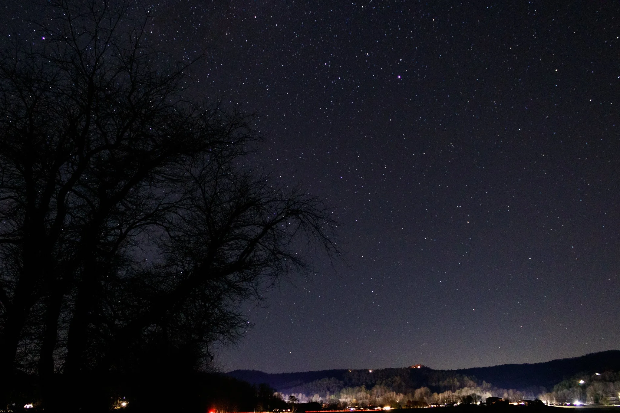Night sky filled with stars over a rural landscape with hills and trees, and a silhouette of a large tree in the foreground.