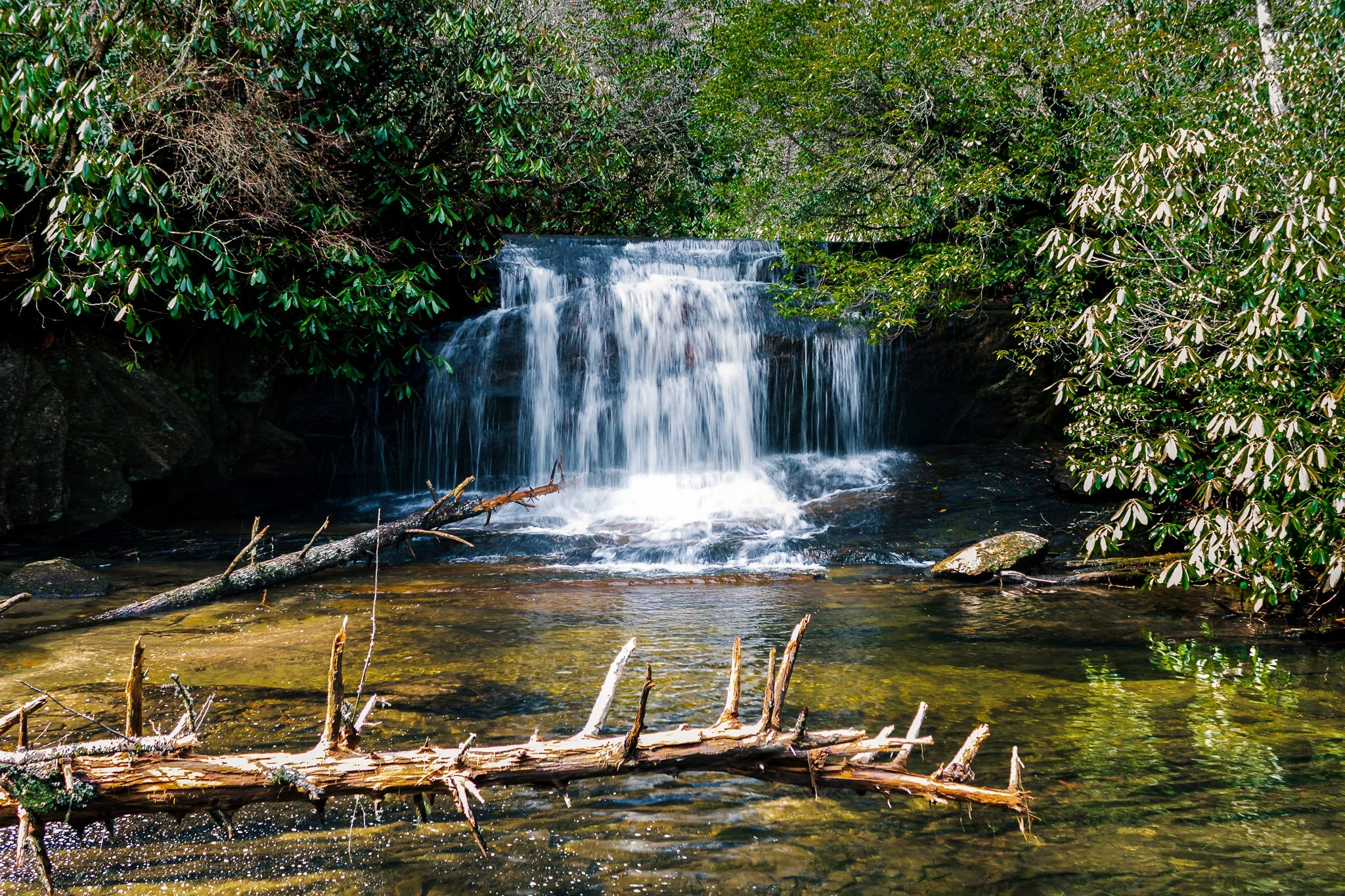 Small waterfall cascading over rocks in a forested area with green foliage and fallen branches in the water.