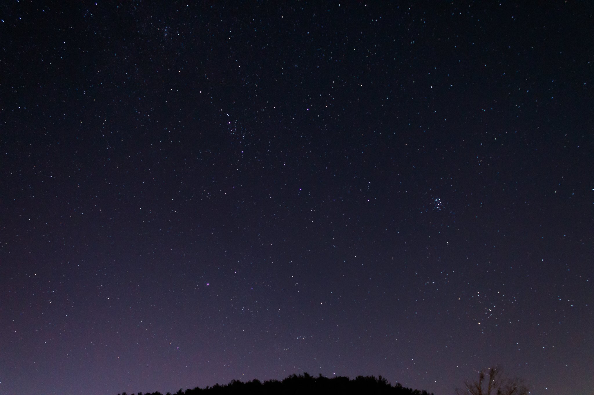 Night sky filled with stars above a dark silhouette of trees on the horizon.