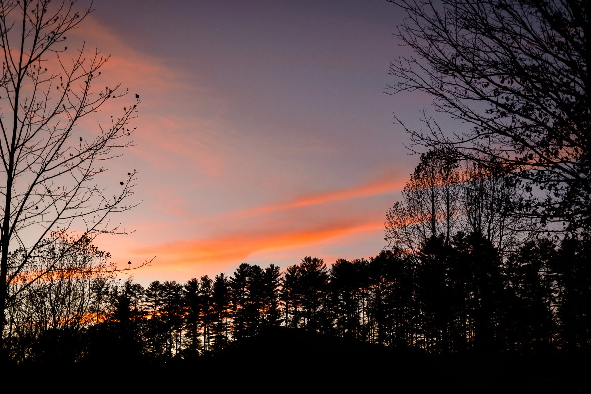 Silhouette of trees at sunset with colorful pink and orange sky.
