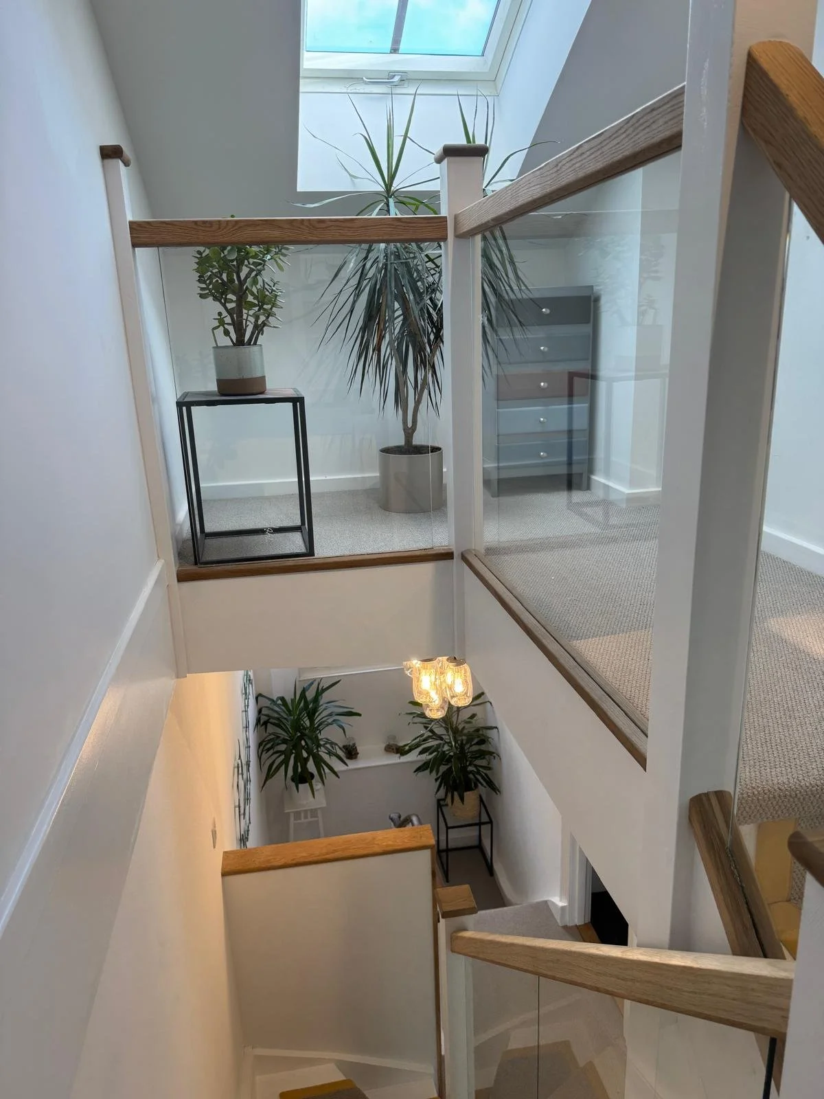 View of a staircase with glass railings, wood handrails, and potted plants, including a tall plant near a window at the top of the stairs, and two smaller plants at the bottom landing.