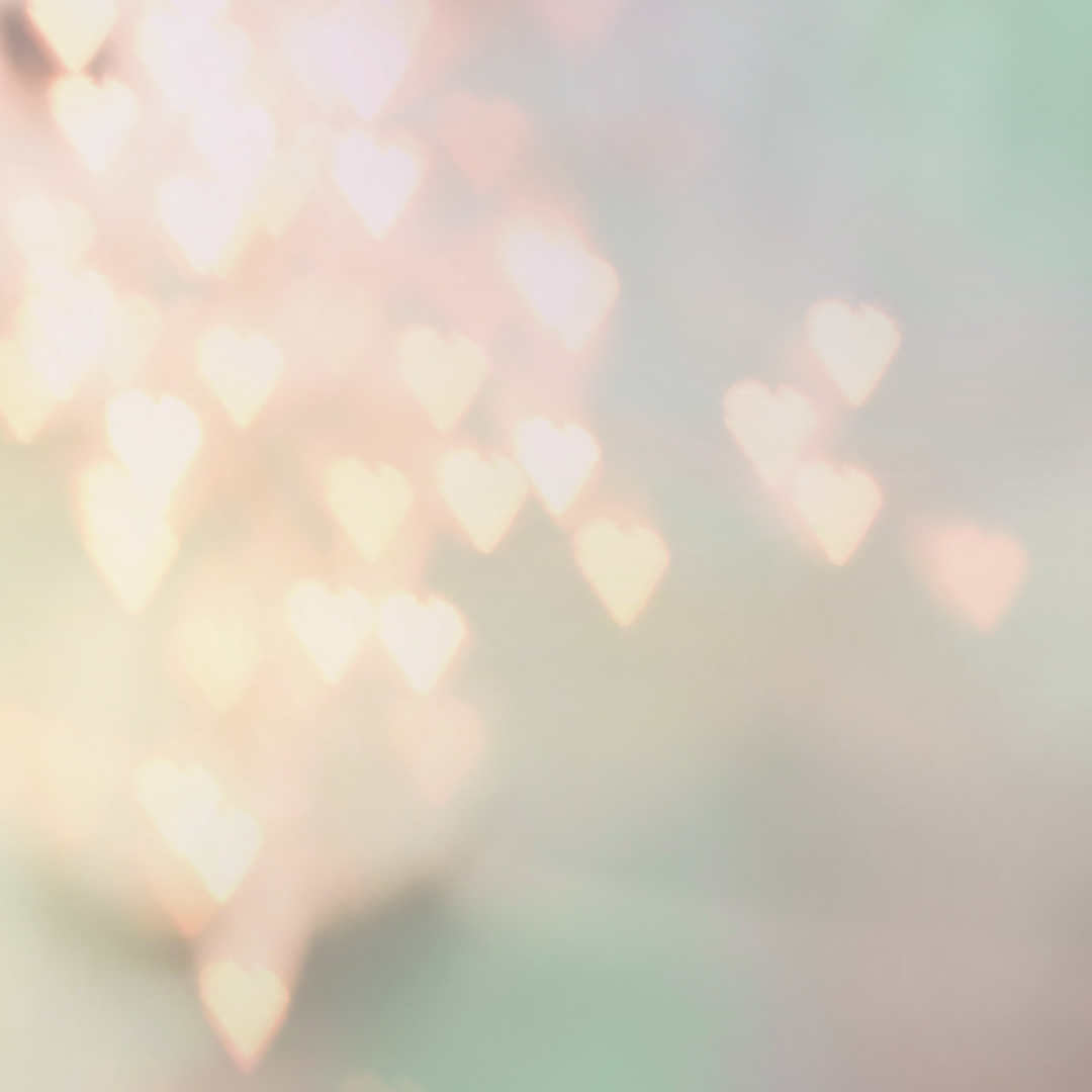 Paket 4 x  75 Minuten