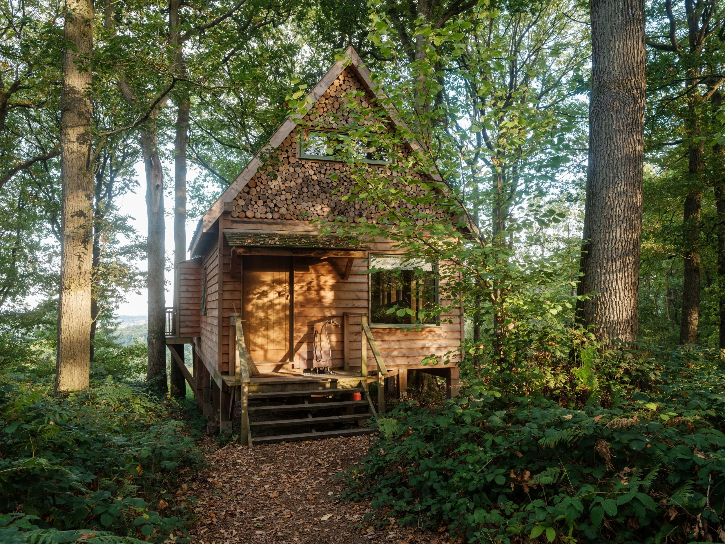 A small wooden house in a forest with tall trees, a stairway leading to the entrance, and stacked firewood on the upper part of the house.