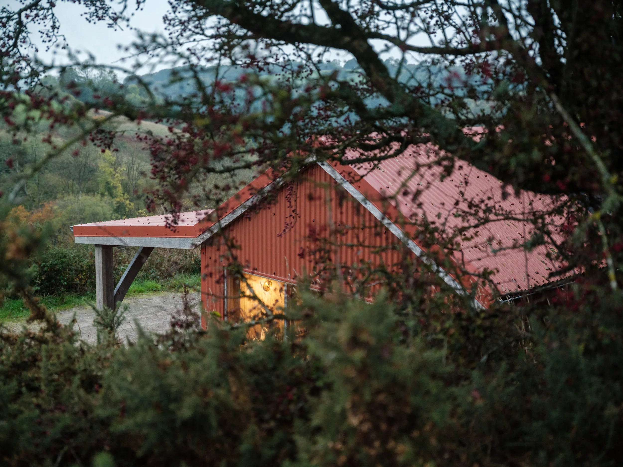 A red barn with a metal roof seen through tree branches and leaves.