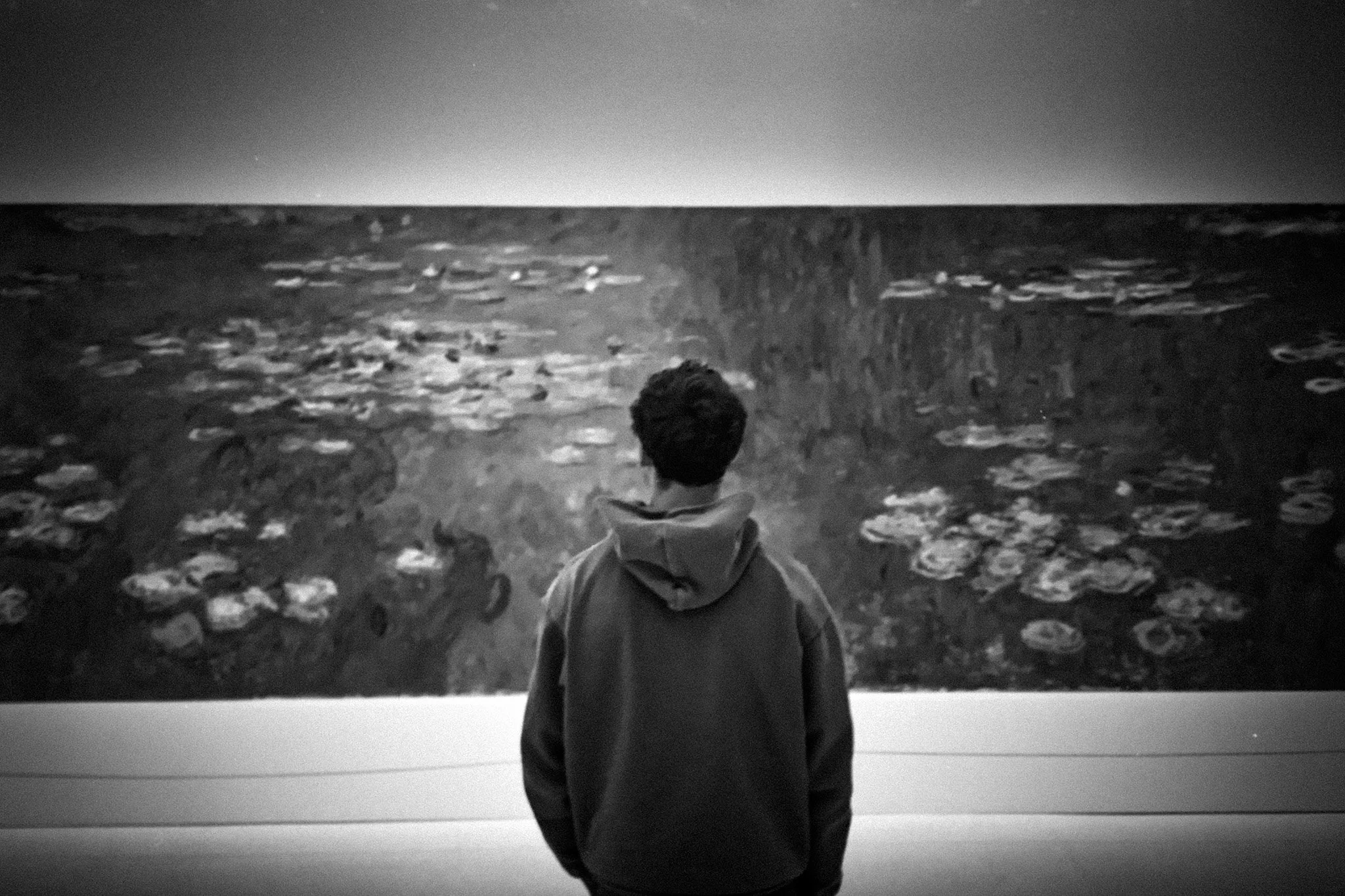 A person wearing a hoodie stands in front of a large black and white painting depicting a landscape with water lilies. The person is facing away from the camera, observing the artwork.