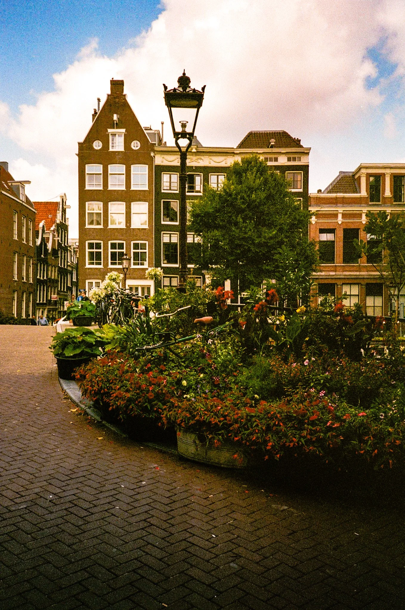 A city scene with colorful flowers in a planter, tall buildings with traditional European architecture, a tree, a lamp post, and a blue sky with clouds.