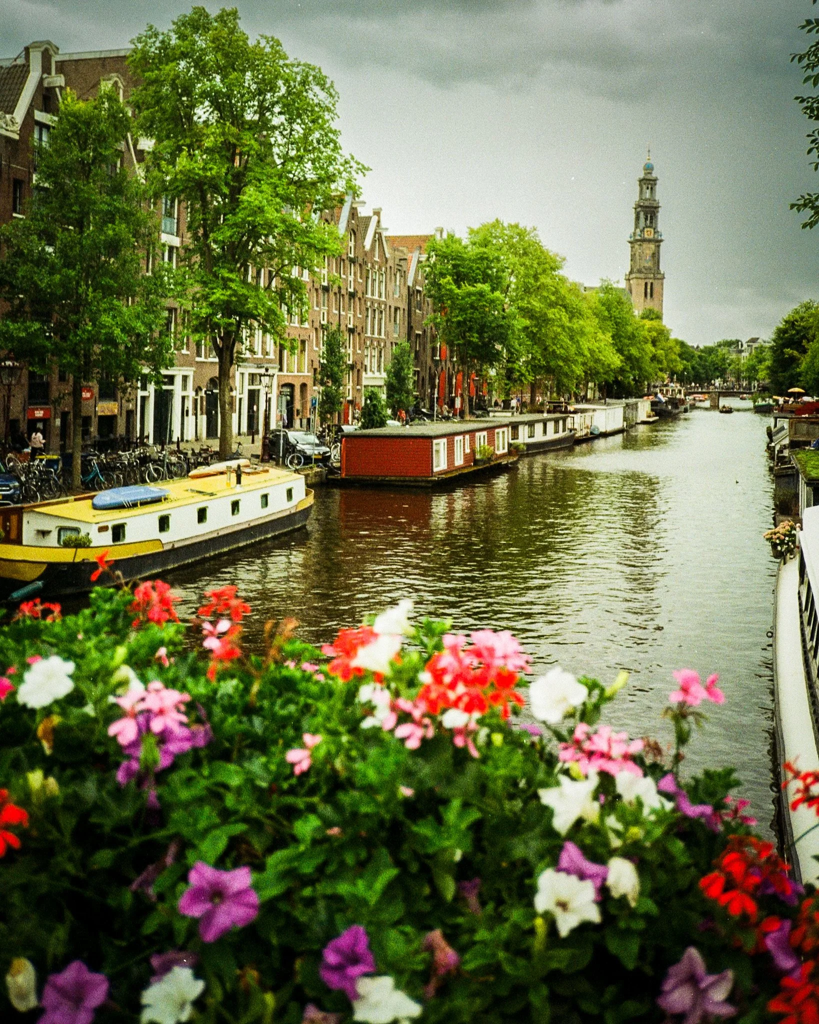 A canal scene in Amsterdam with houseboats, colorful flowers in the foreground, historic buildings lining the canal, and a church tower in the background under a cloudy sky.