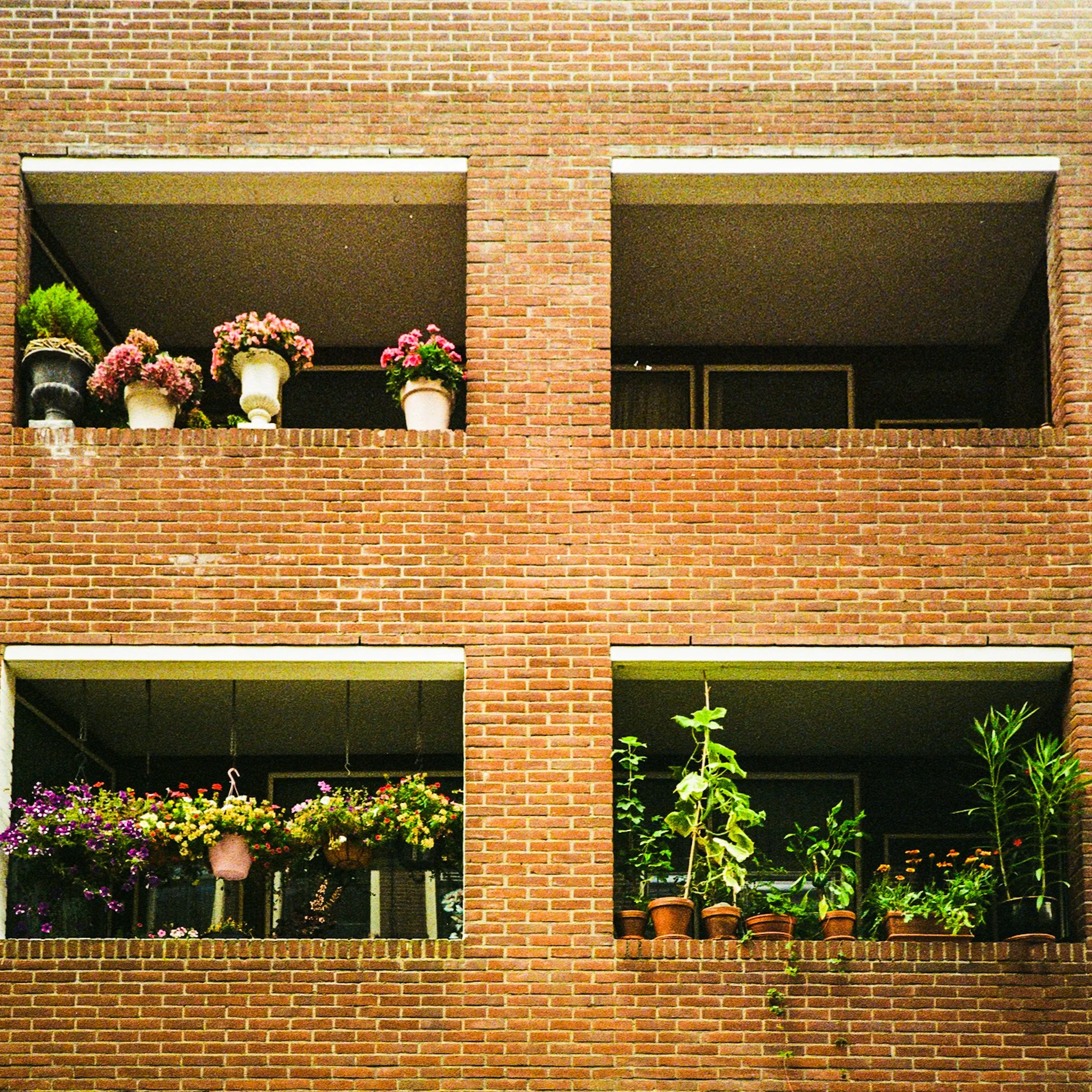 Brick balcony with potted plants and hanging flowers on multiple levels.
