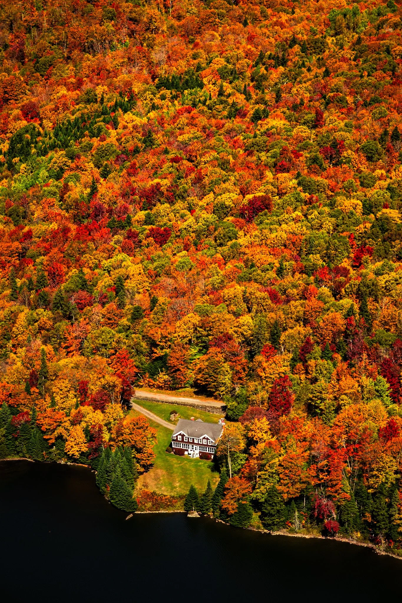 An aerial view of a house near a lake surrounded by dense forest with autumn foliage in red, orange, yellow, and green colors.