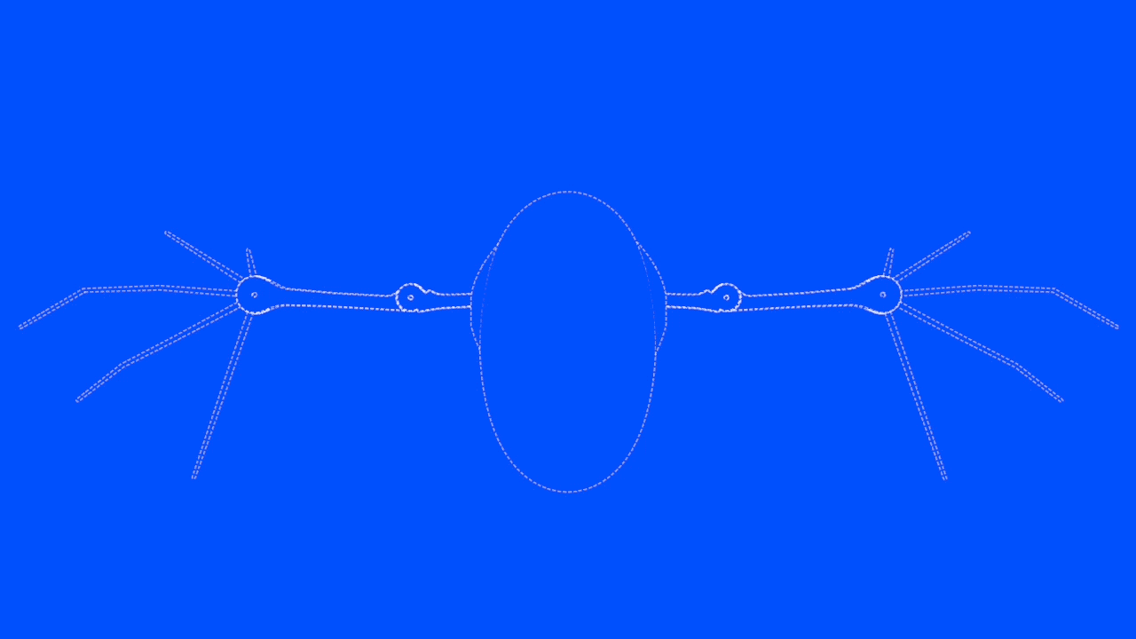 Bat-Wing-Spread.gif