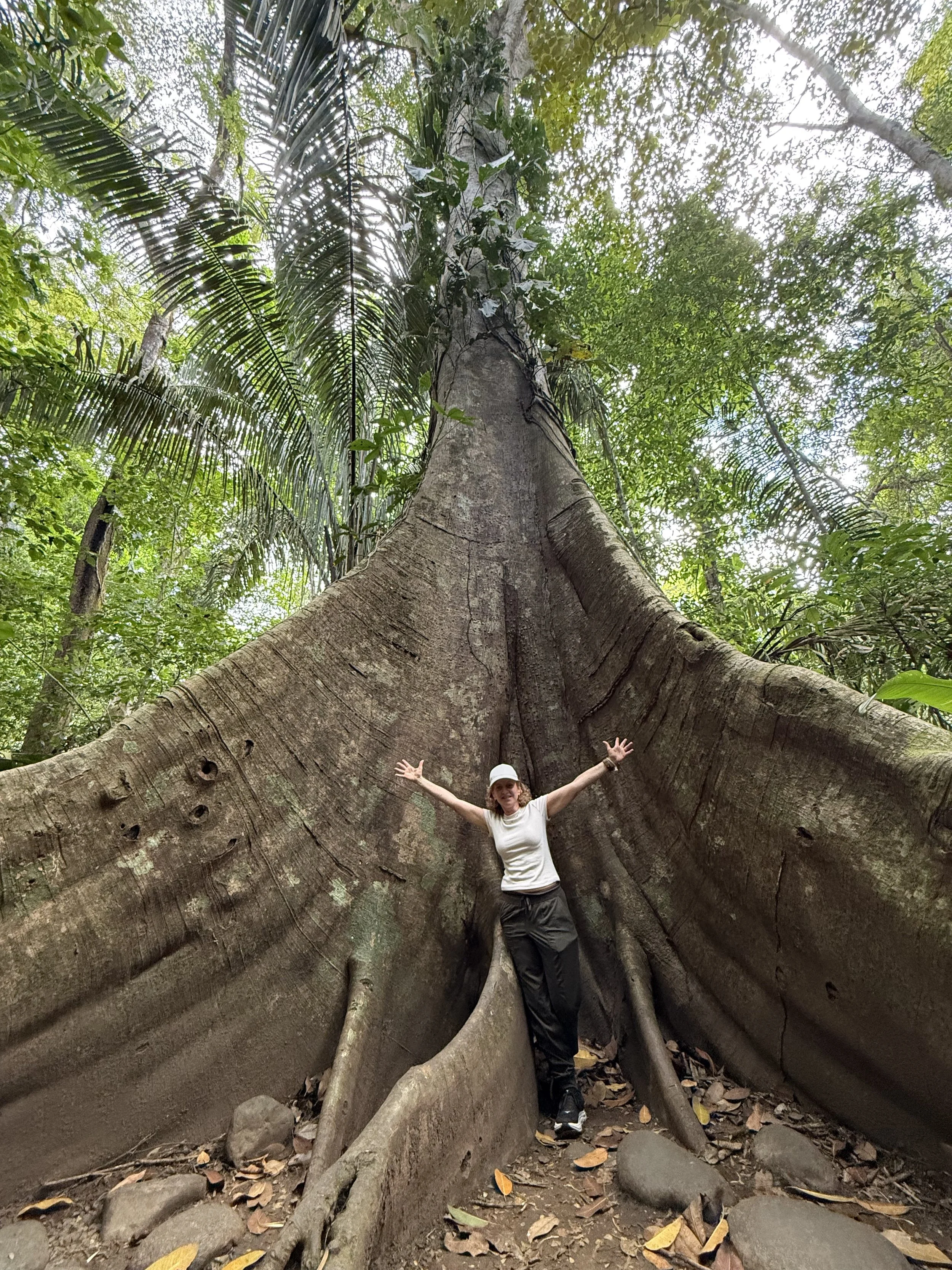 Nanci Garoon, Enneagram coach and conscious leadership guide, worldwide. A woman standing with arms outstretched inside a large, thick tree trunk in a lush forest, surrounded by greenery and rocks.