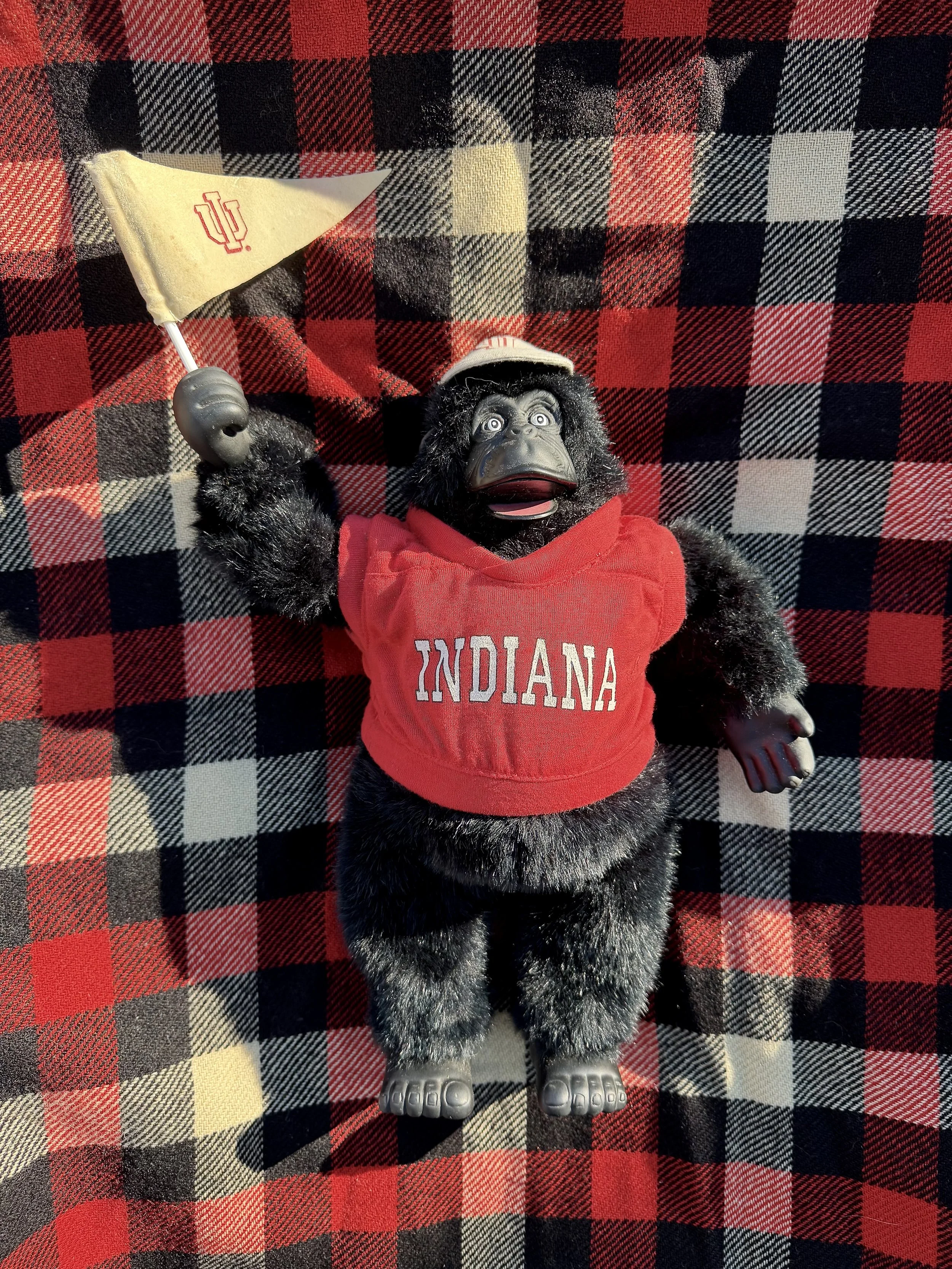 VINTAGE 1998 INDIANA HOOSIERS GORILLA • ANIMATED