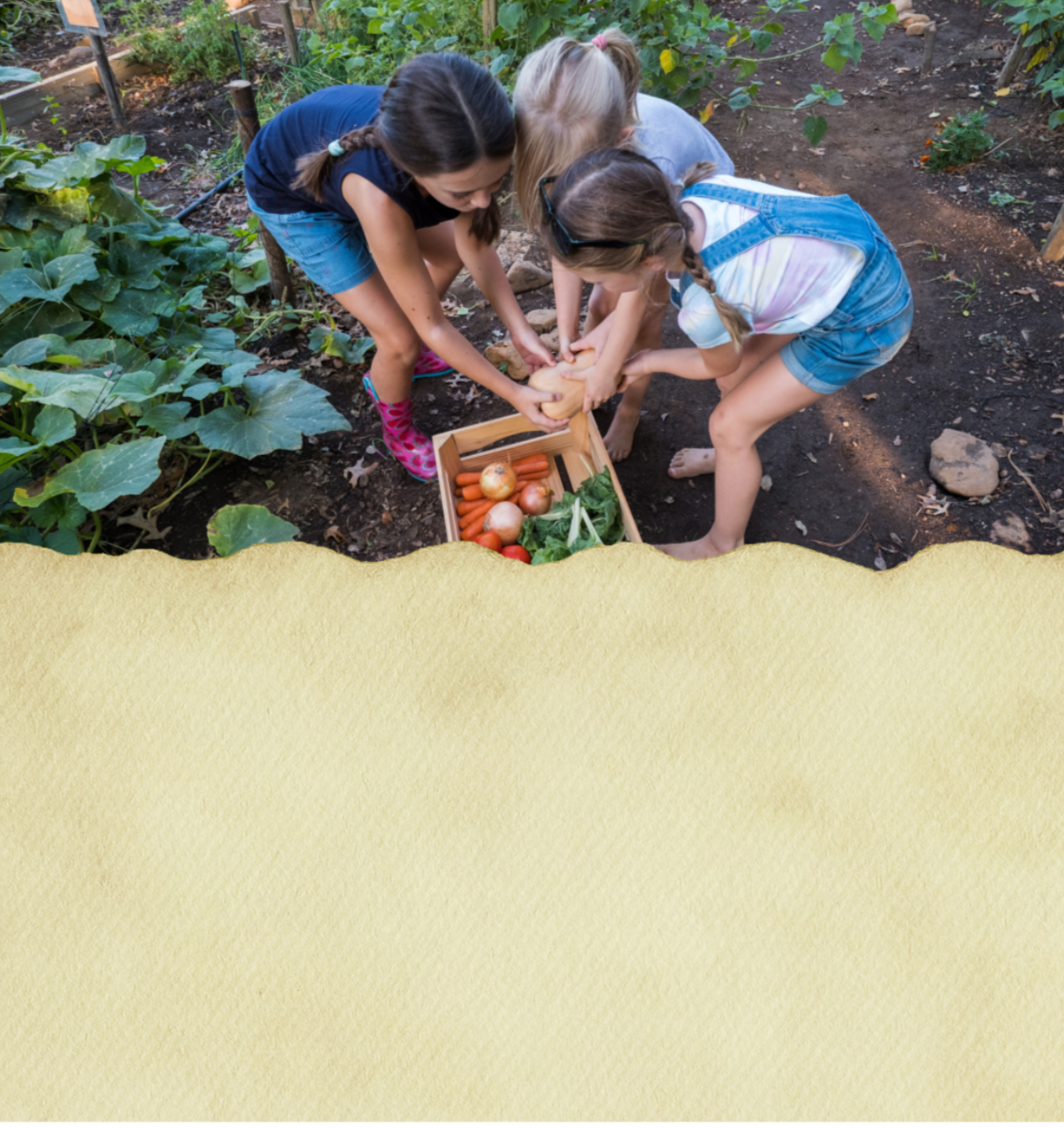 The Learning Farm