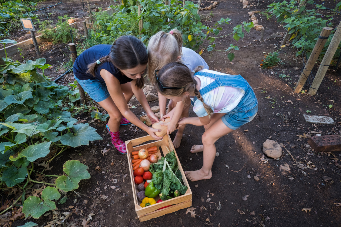 Homesteading for Kids