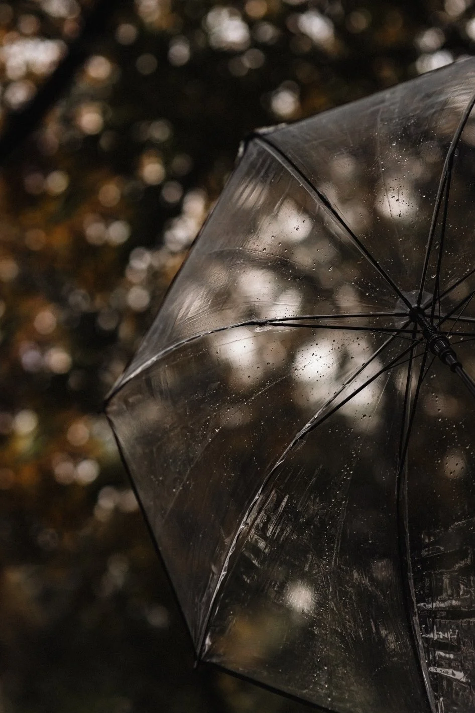A clear transparent umbrella with water droplets on its surface, held against a blurred background of tree leaves and dappled light, indicating rainy weather.