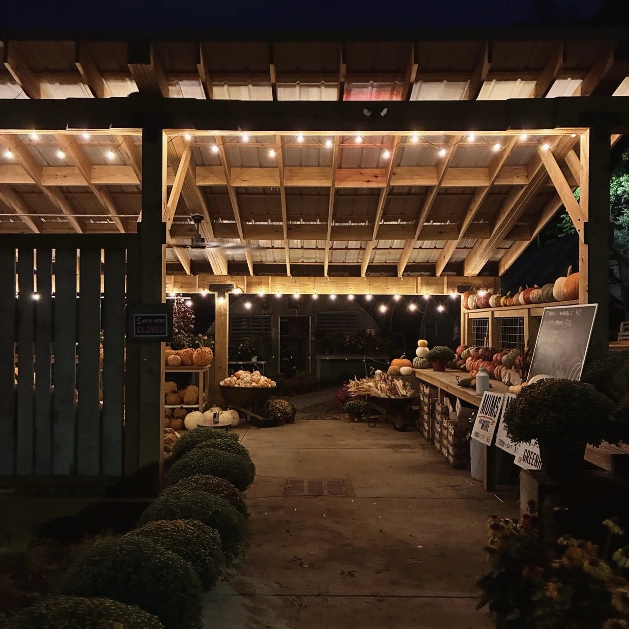 Forgotten Lands Pavilion After Dark