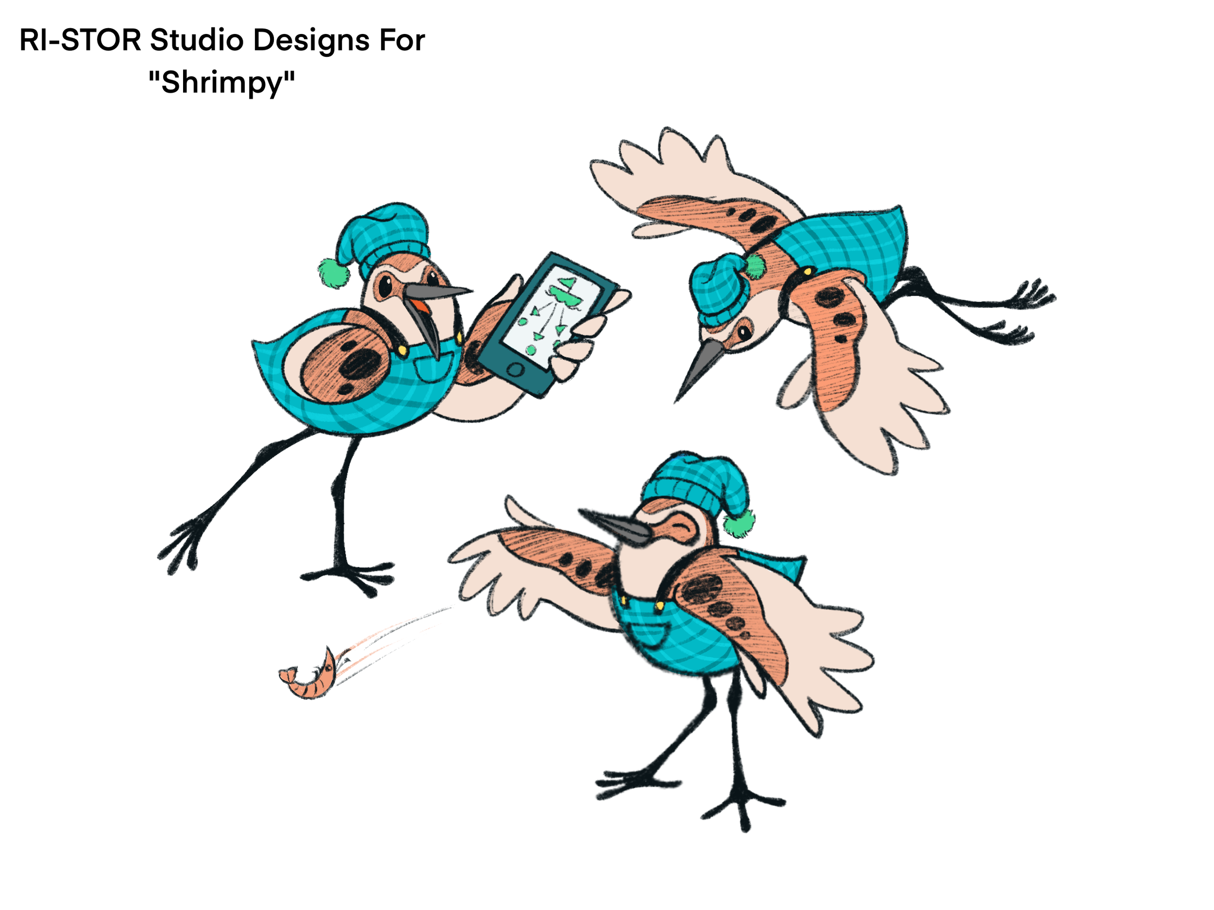 Character Design Study