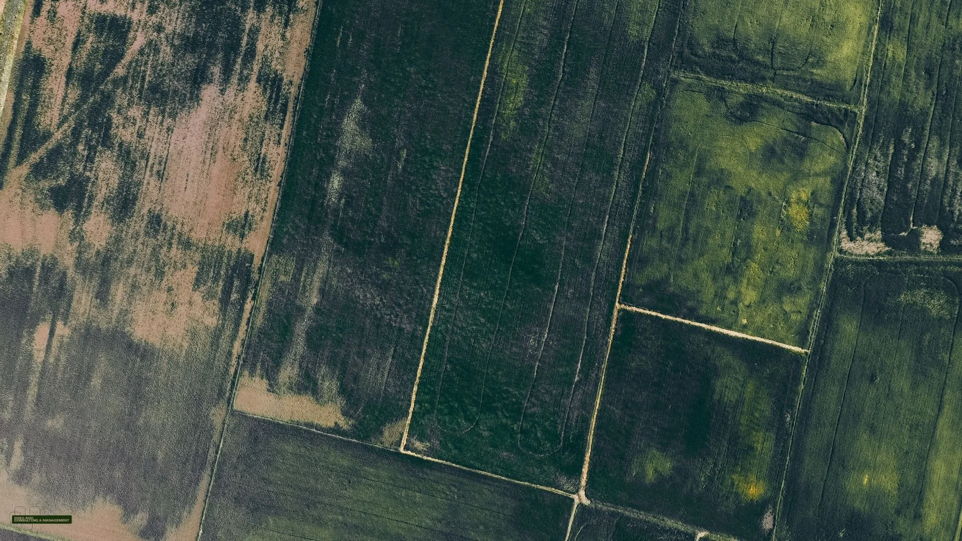 New Project Development