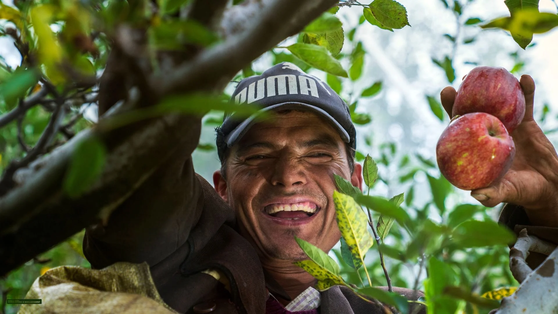 Crop & Orchard Management