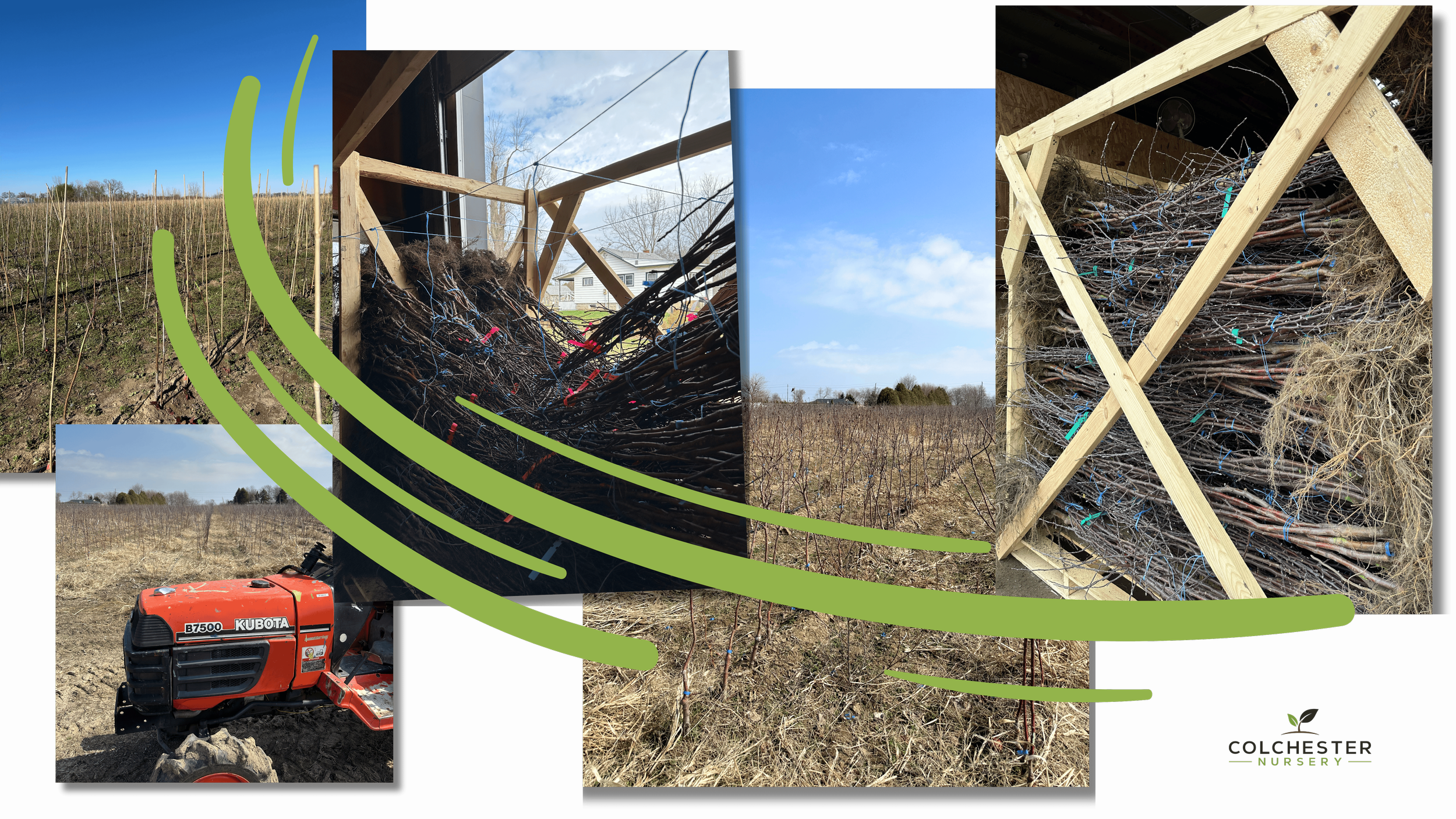 Untitled design (42).png