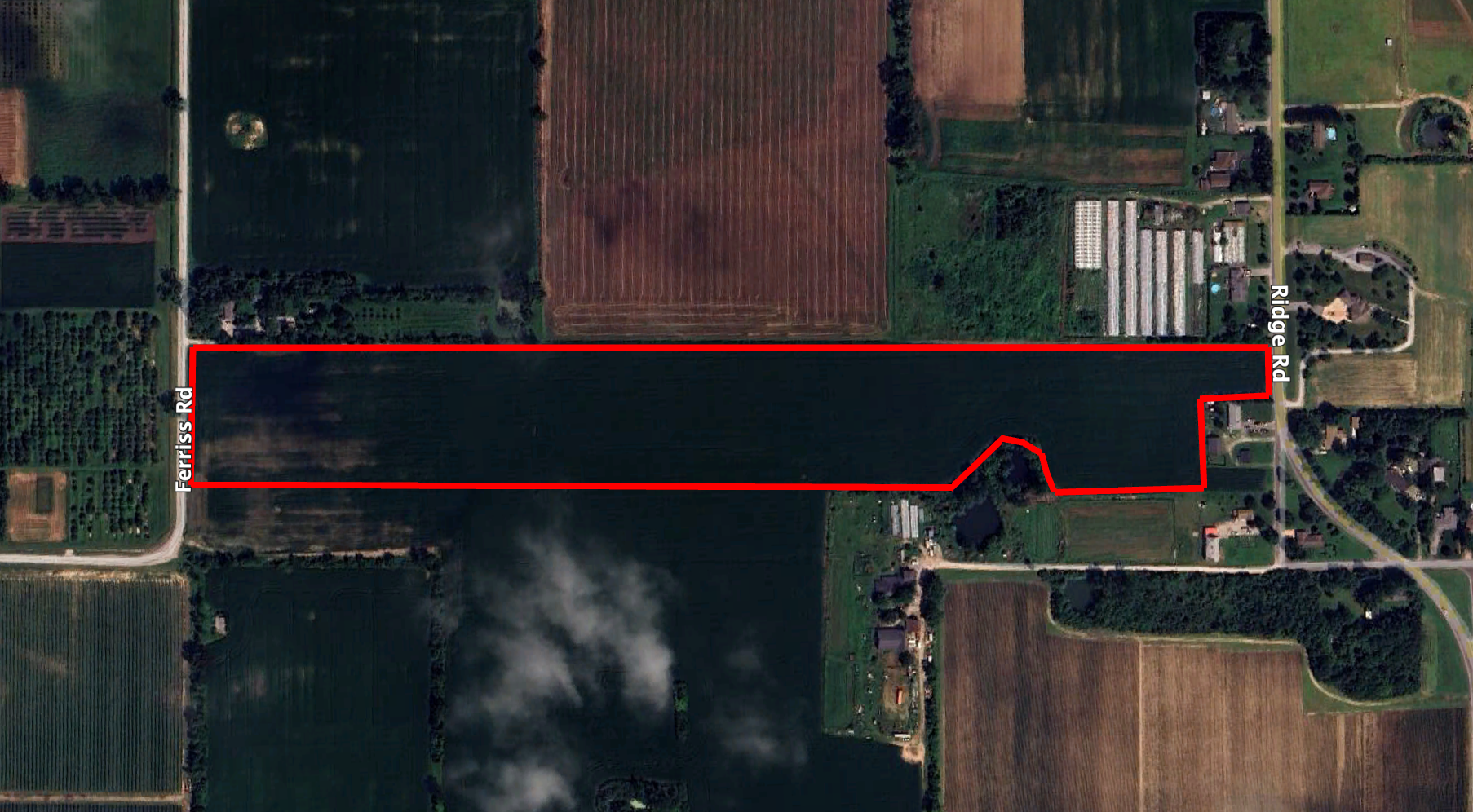 Colchester Nursery Inc - Fruit Tree Nursery