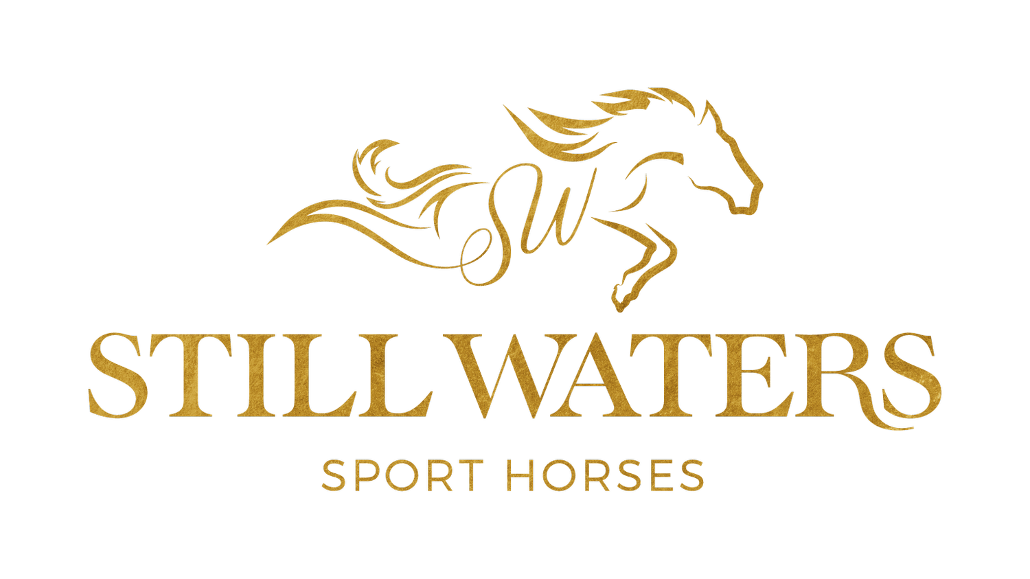 Still Waters Sport Horses
