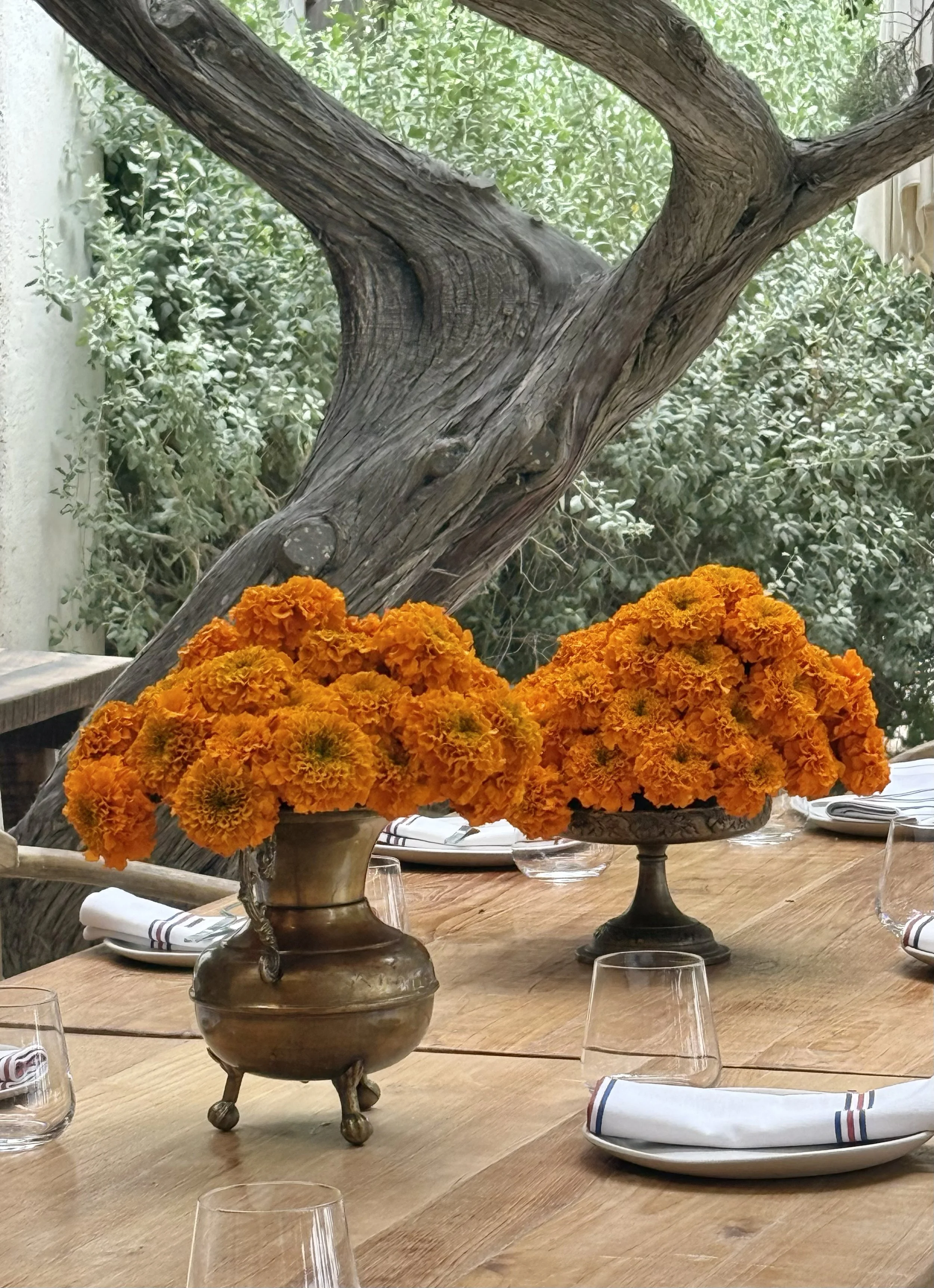 ADRIAN CASHMERE LUNCH. Particular, Jondal. Ibiza
