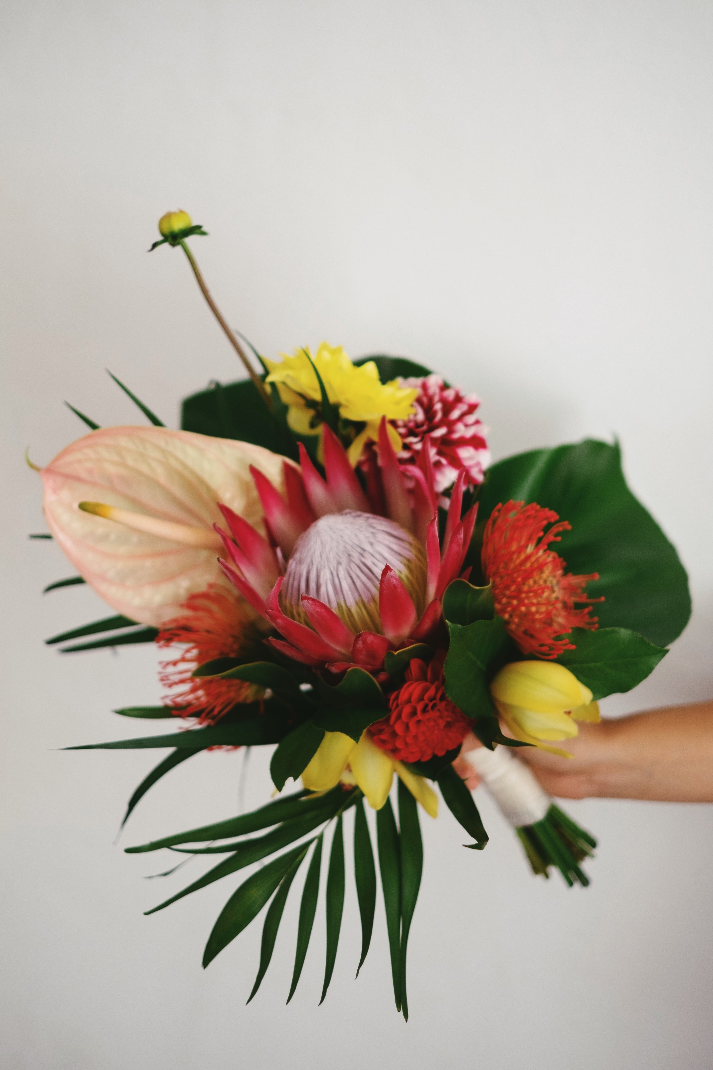 DSCF4957 (Priime Analog).jpg