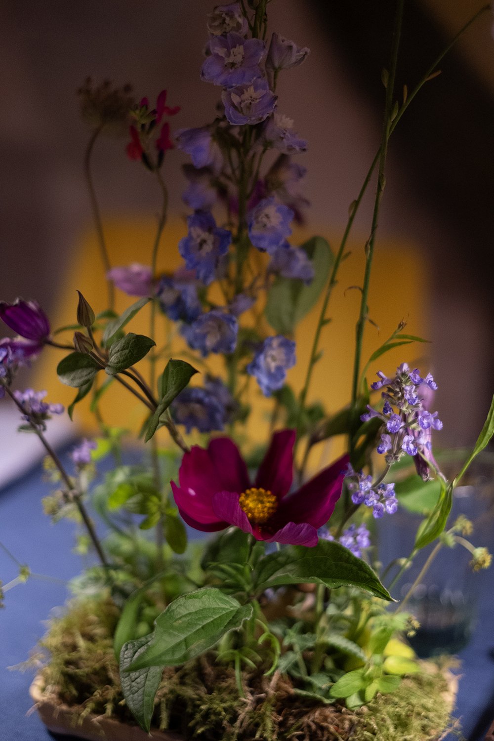 Private dinner. Overall Ibiza