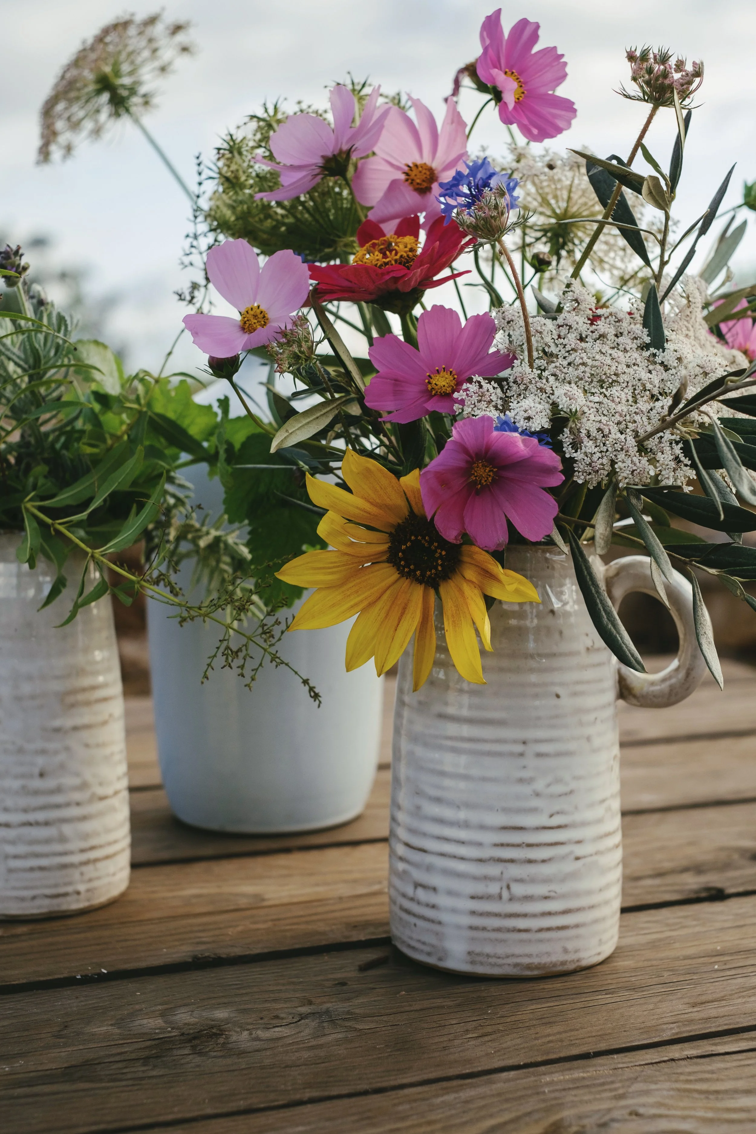 TERRA MASIA-DB-2018-0393.jpg