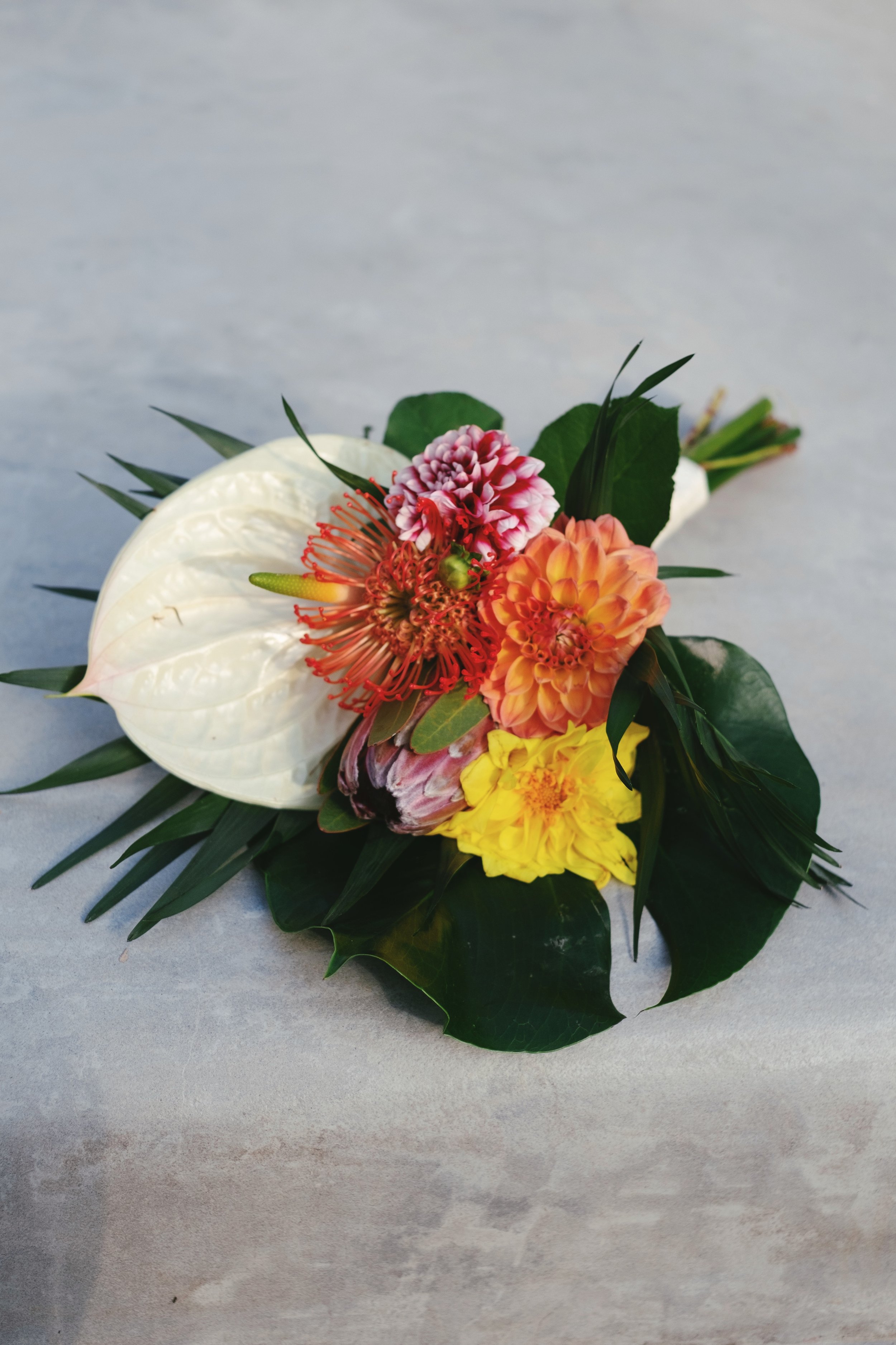 DSCF4998 (Priime Analog).jpg